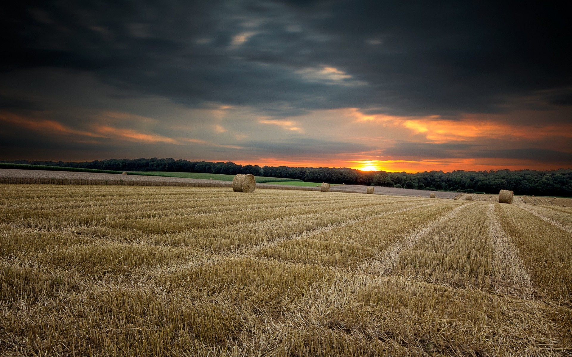 стол в поле с пшеницей