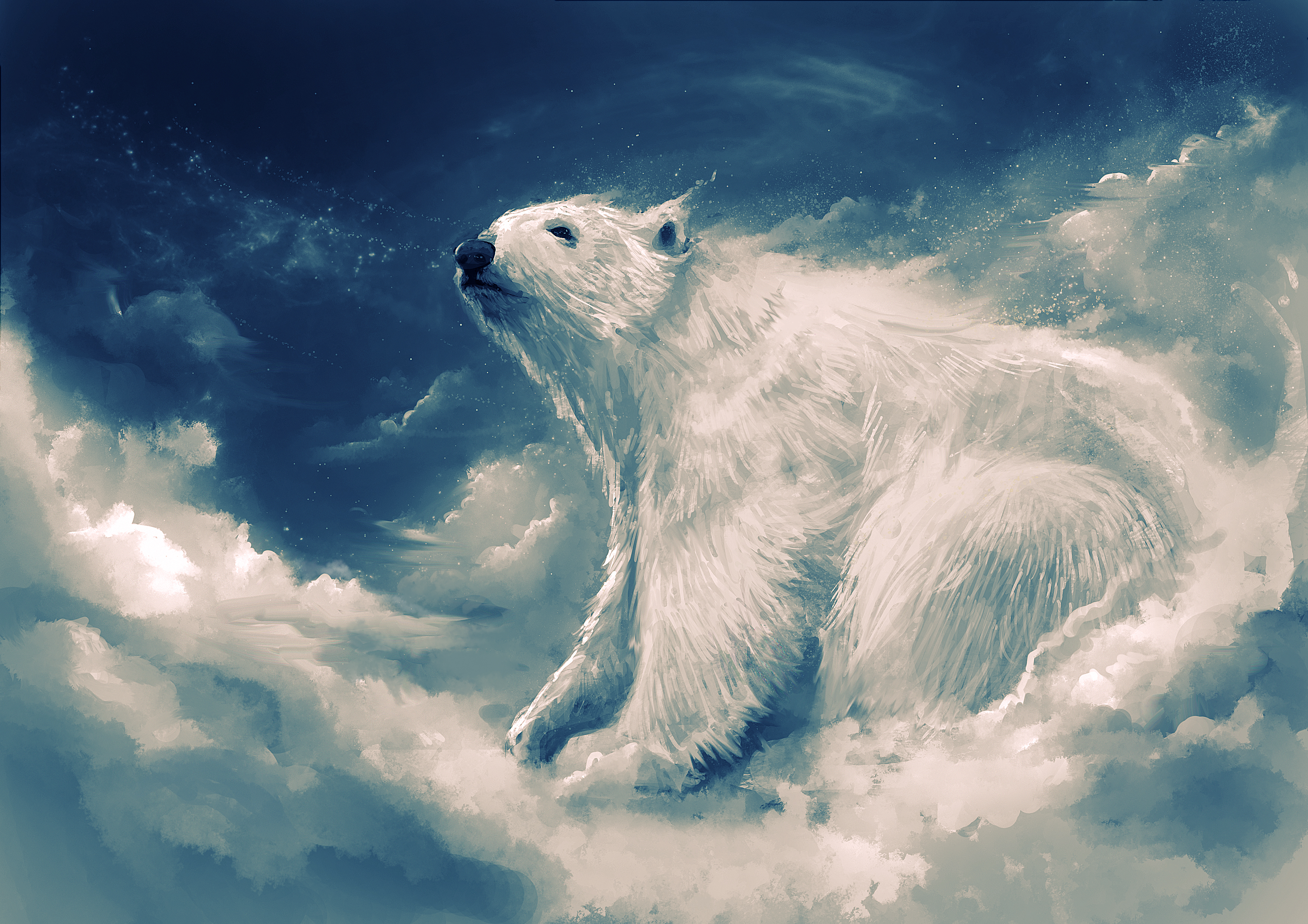 423993 télécharger l'image ours polaire, animaux, ours polair, nuage, ciel, ours - fonds d'écran et économiseurs d'écran gratuits