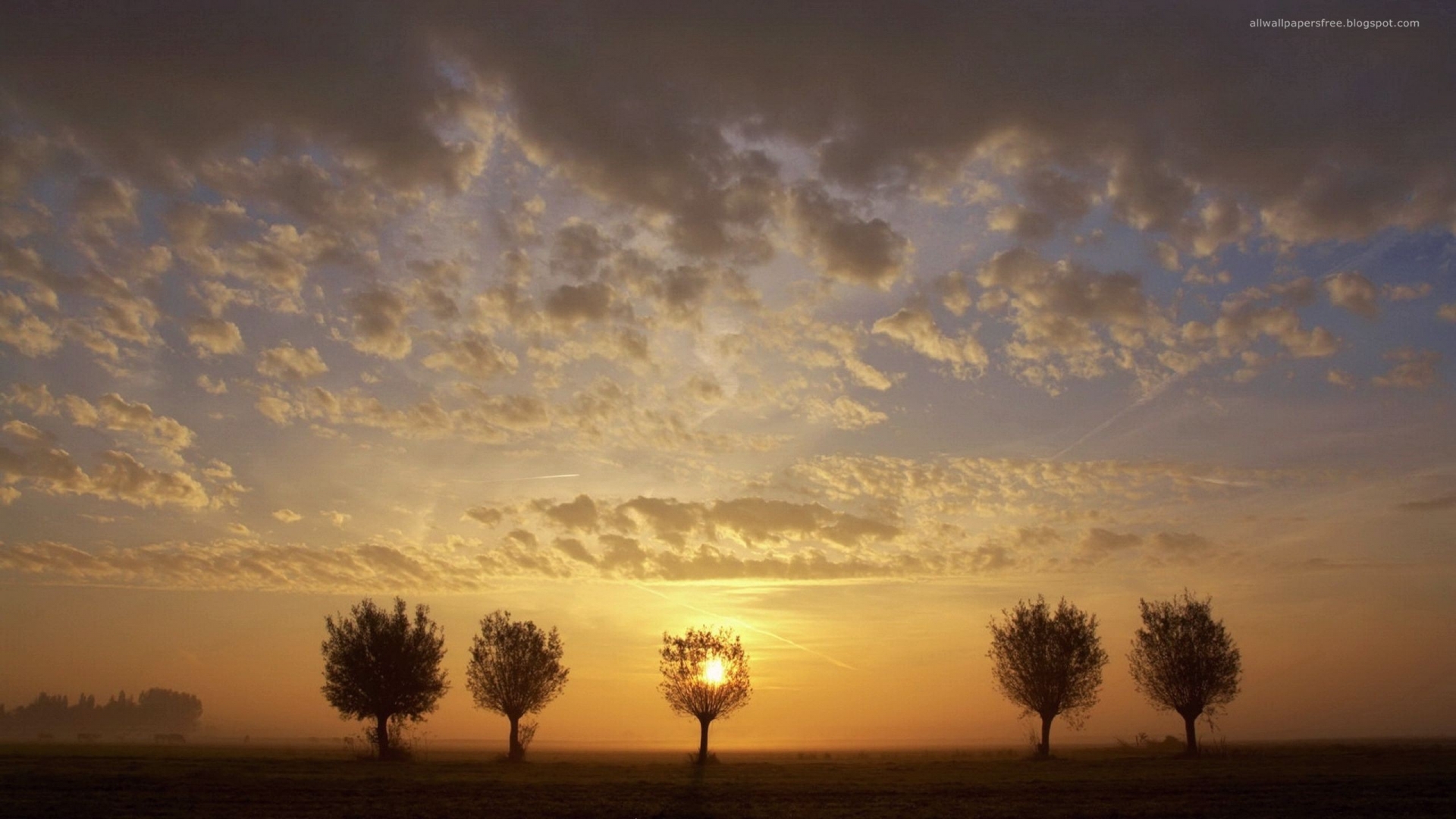 Download mobile wallpaper Trees, Landscape, Sunset for free.