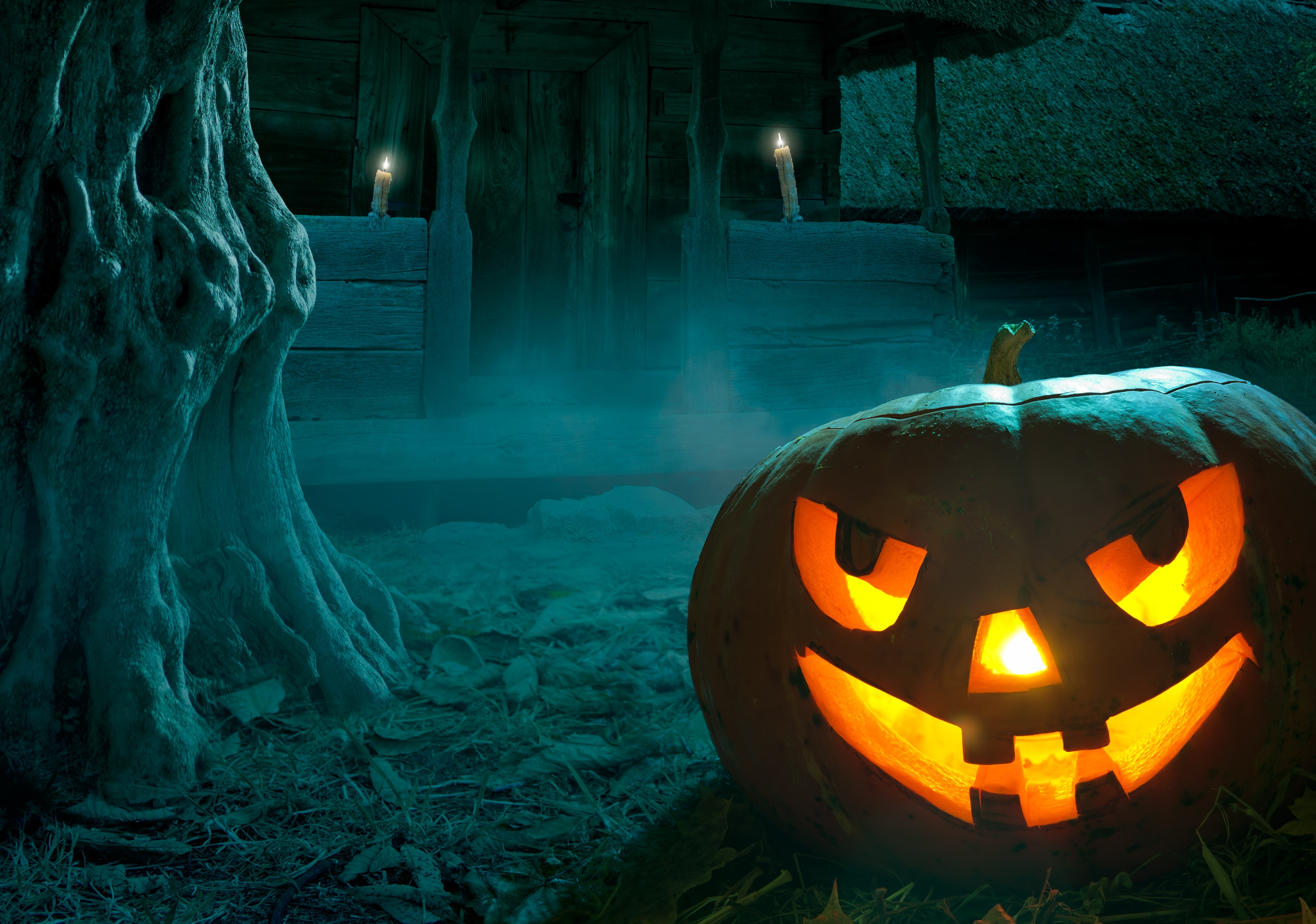 halloween, creepy, holiday, spooky HD wallpaper