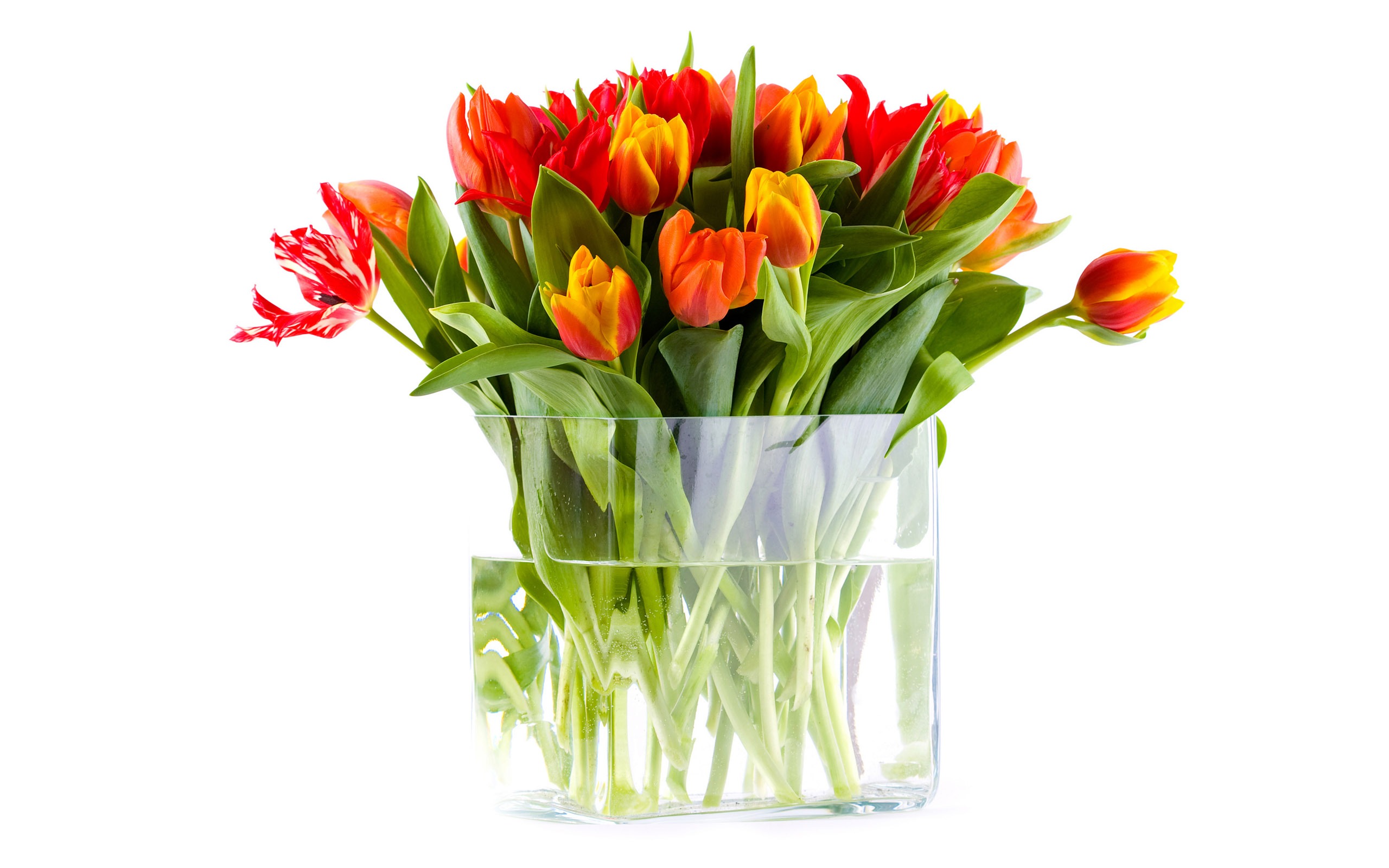 Как дольше сохранить цветы тюльпаны. Ваза с тюльпанами. Букет тюльпанов. Букет тюльпанов в вазе. Тюльпаны в вазах.