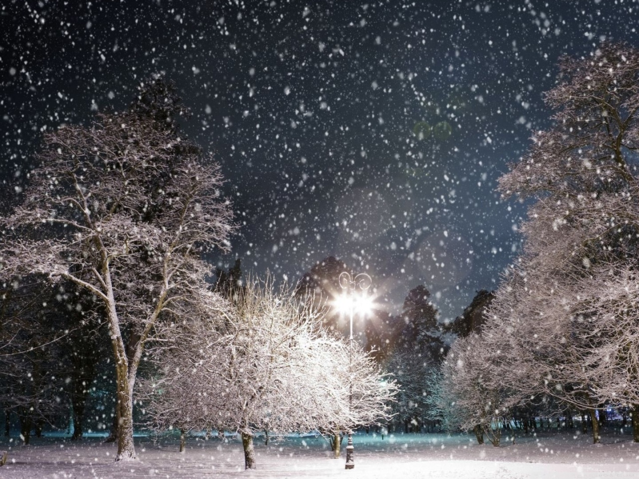 Скачать картинку Снег, Зима, Ночь, Пейзаж в телефон бесплатно.