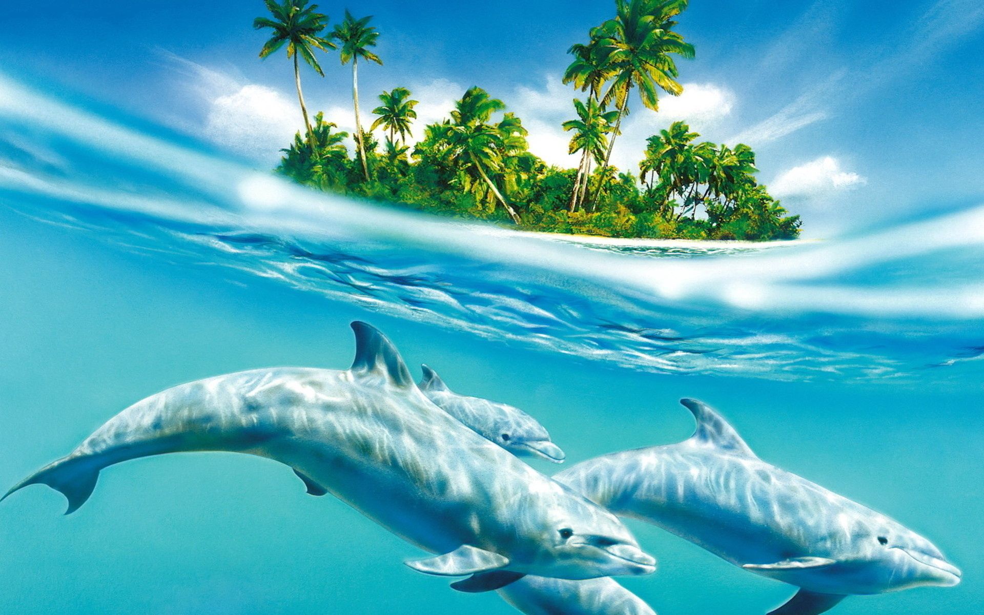 Cool Wallpapers animals, trees, sea, waves, palms, dolphin, wind