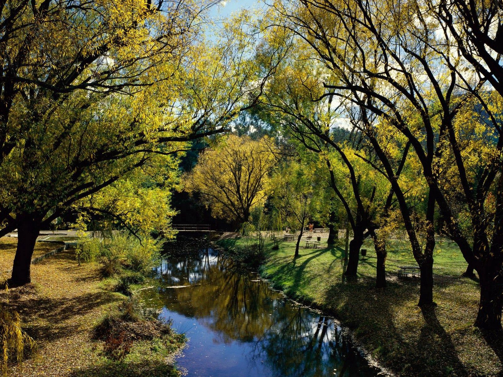 106349 скачать картинку австралия, река, осень, природа, деревья, парк, отдых - обои и заставки бесплатно