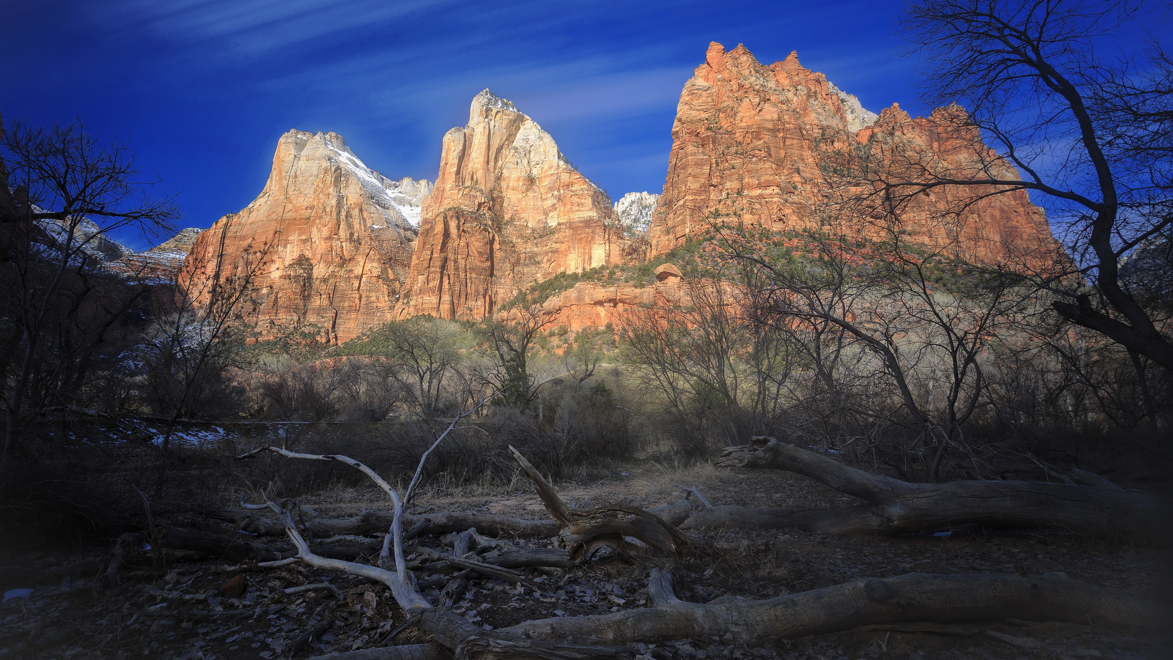 488036 Hintergrundbilder und Zion Nationalpark Bilder auf dem Desktop. Laden Sie  Bildschirmschoner kostenlos auf den PC herunter