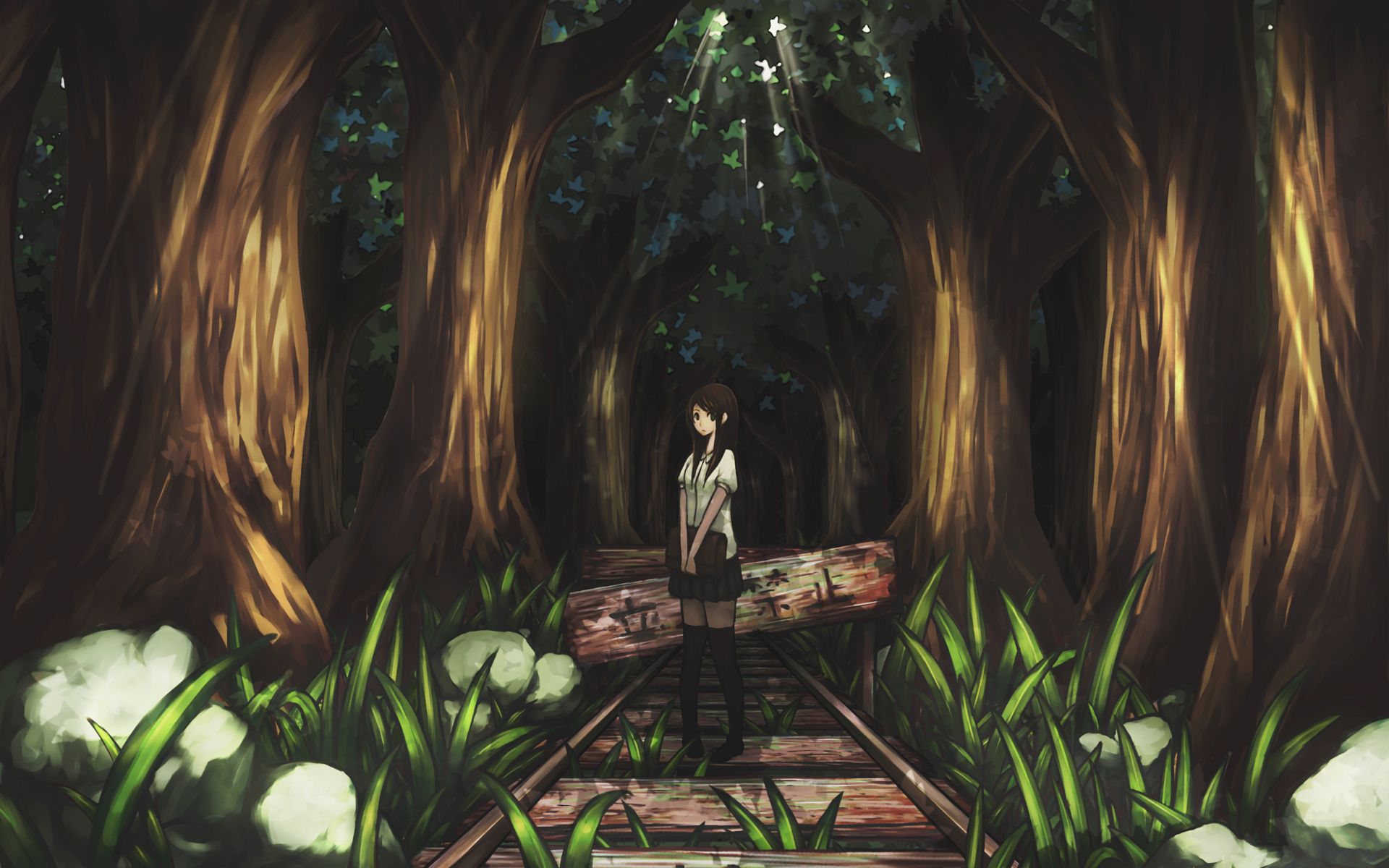 Светлячковый лес аниме