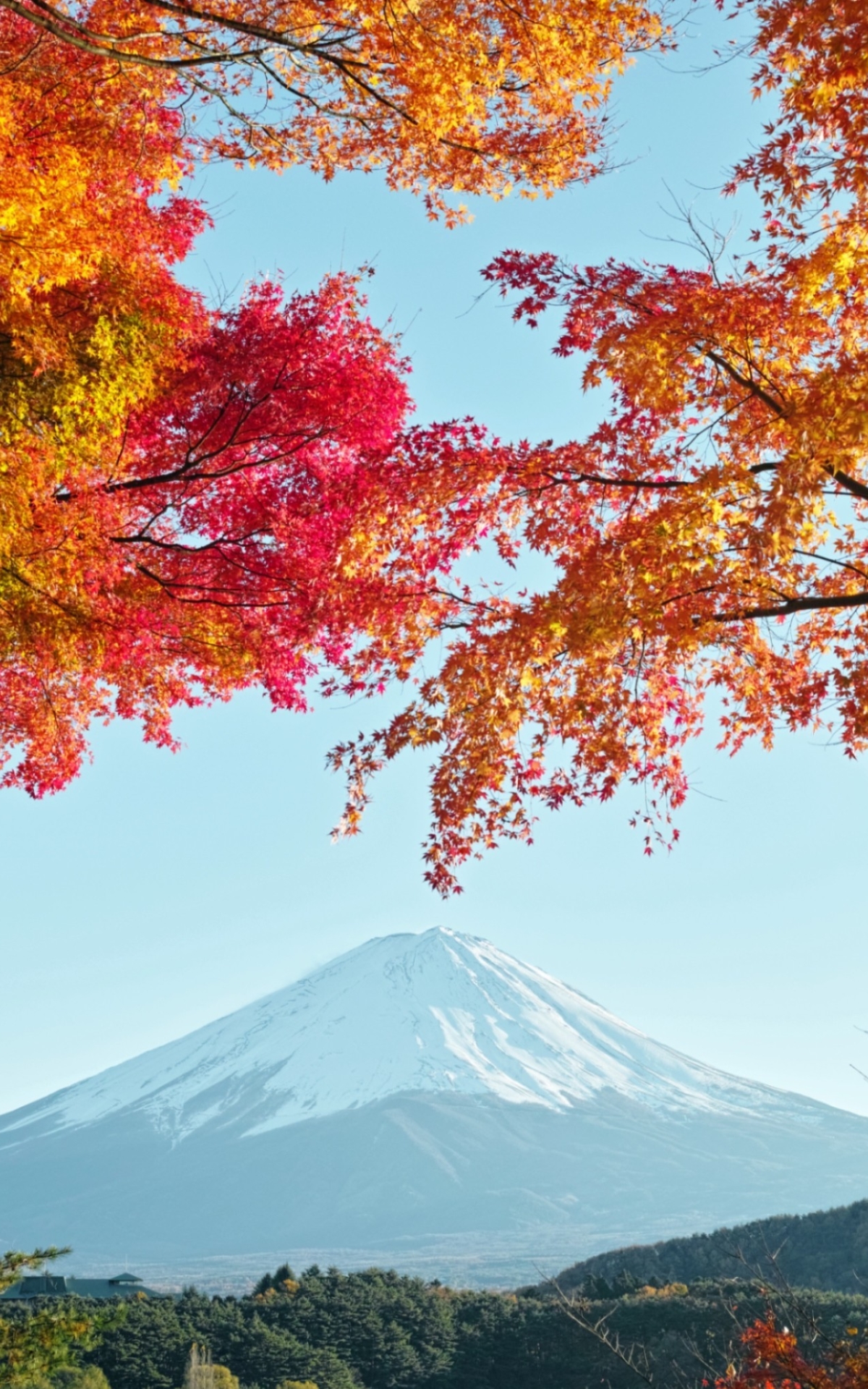 1152776 télécharger le fond d'écran fujiyama, terre/nature, mont fuji, japon, volcans - économiseurs d'écran et images gratuitement