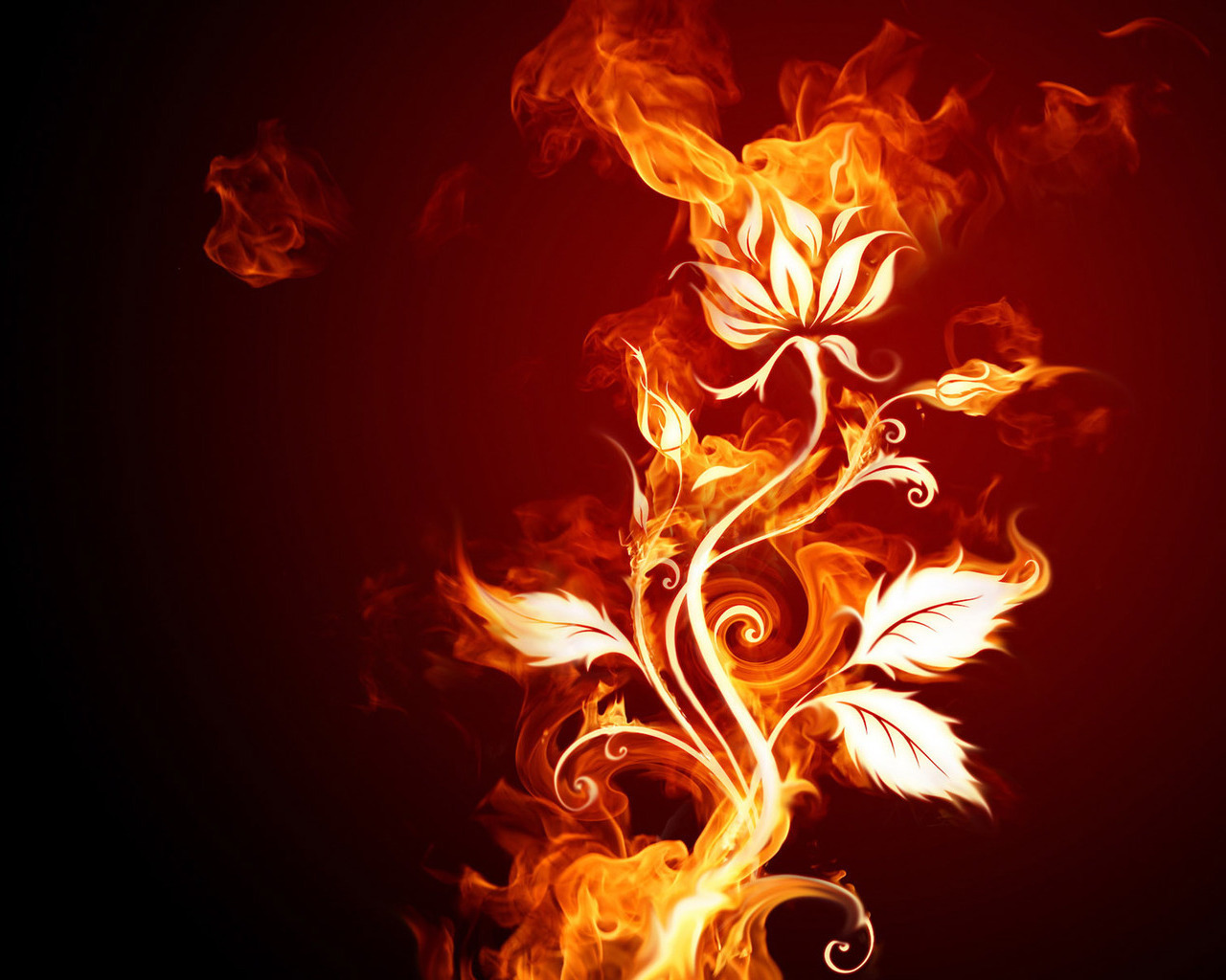 fire, flowers, plants, red UHD