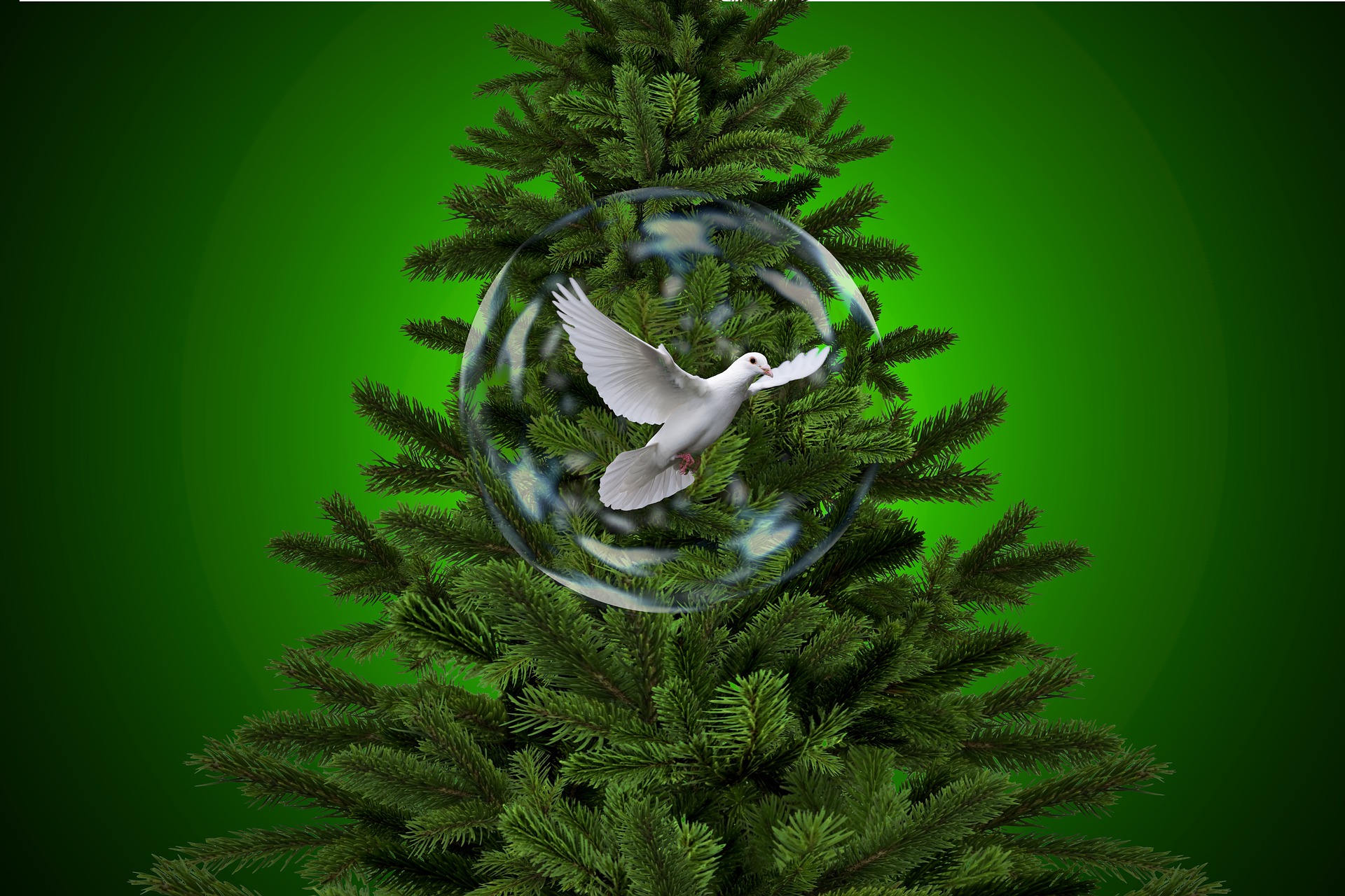 Download mobile wallpaper Birds, Tree, Christmas, Animal, Dove, Bauble for free.