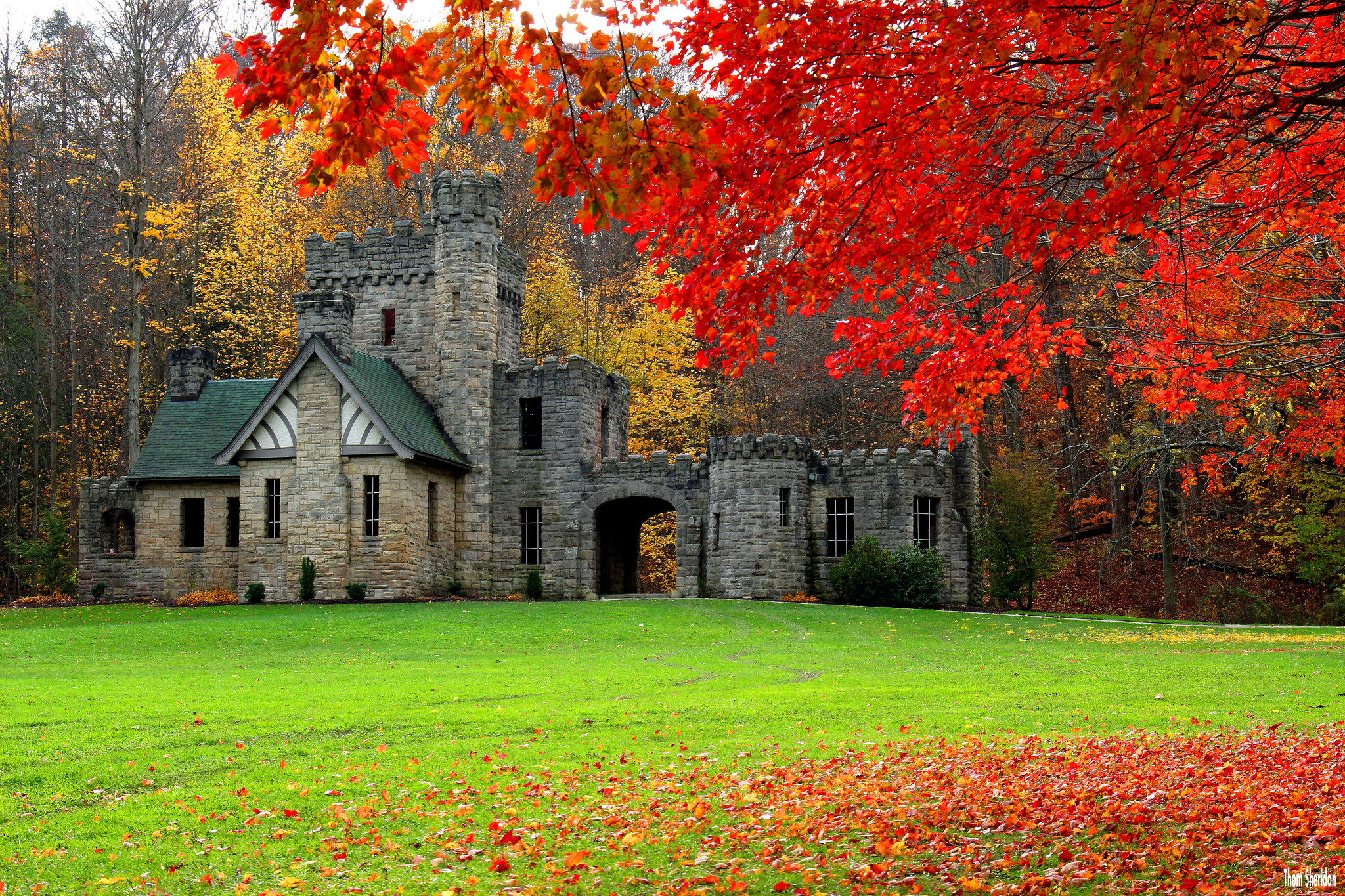 425233 скачать обои замки, огайо, осень, сделано человеком, замок, архитектура, сквайрский замок, дерево - заставки и картинки бесплатно
