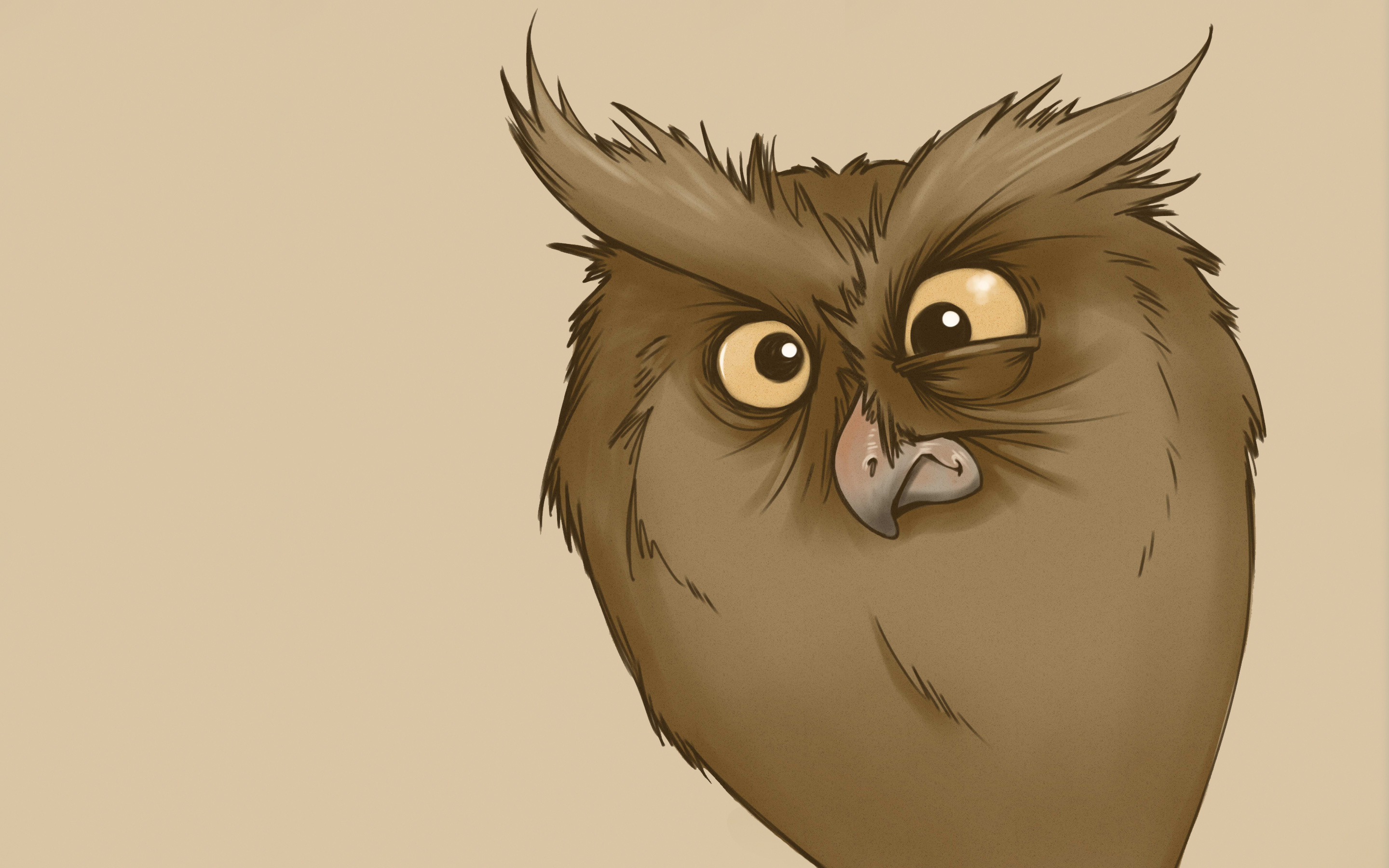 vector, owl, picture, drawing, sight, opinion, surprise, astonishment