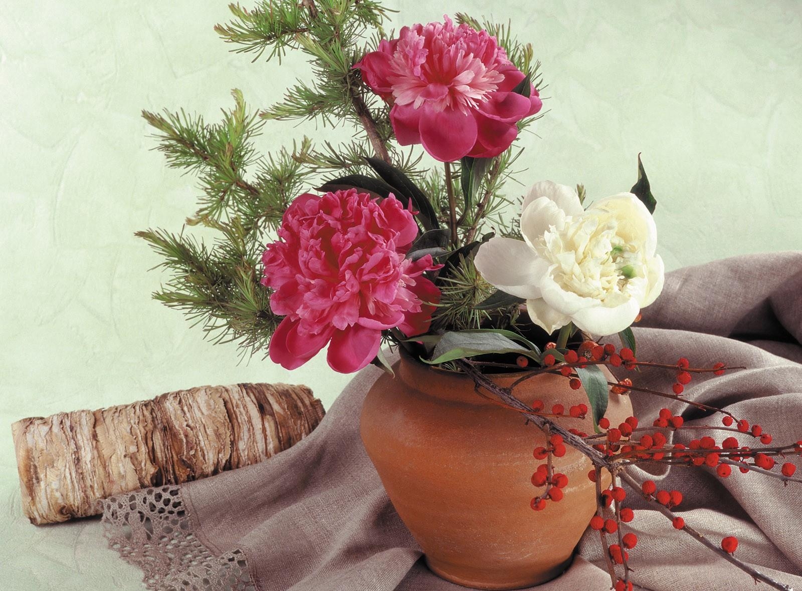 flowers, peonies, berries, branch, needles, pot, log, tablecloth High Definition image