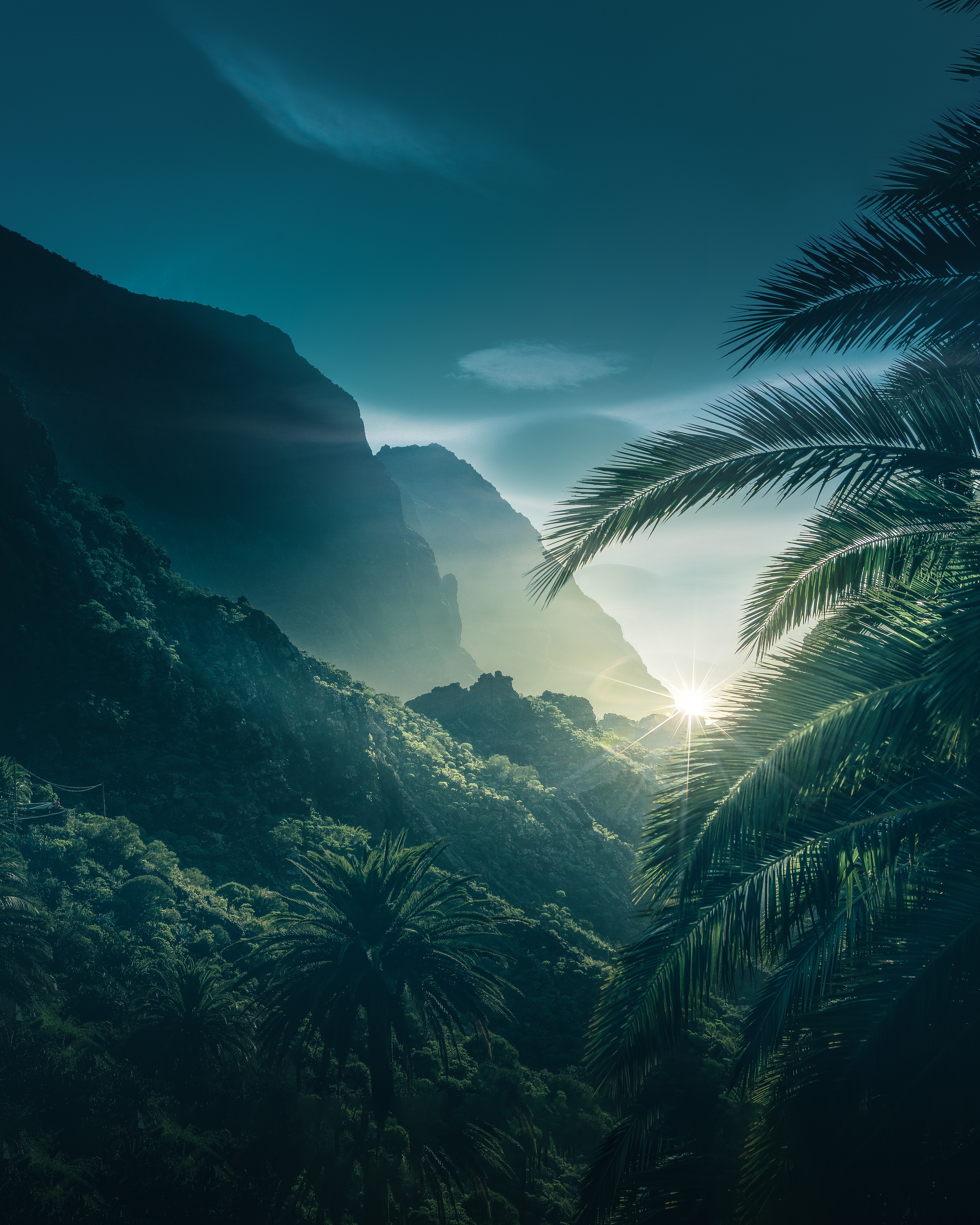 nature, mountains, sky, sunlight, palms 1080p