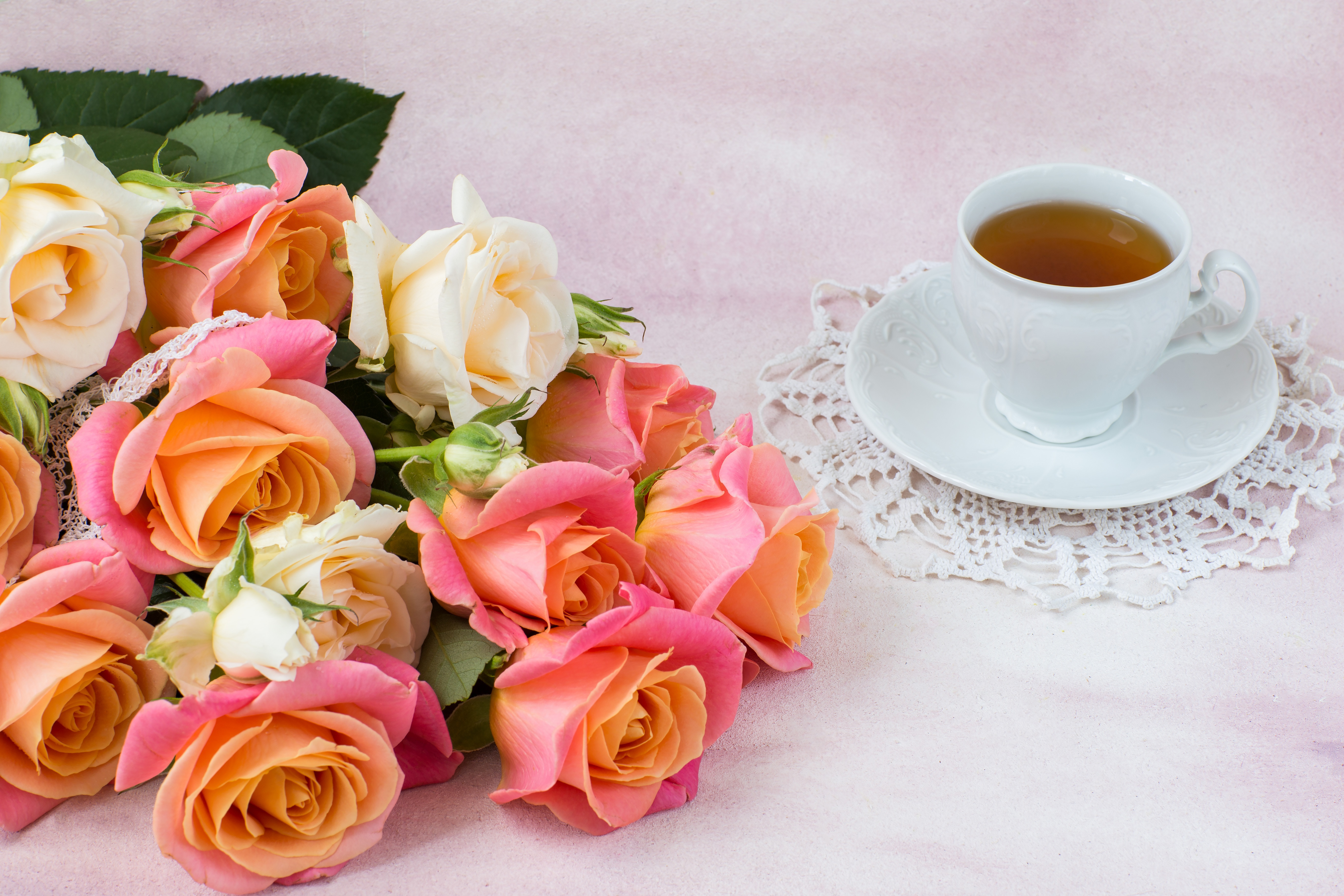 Красивые Чайные Розы