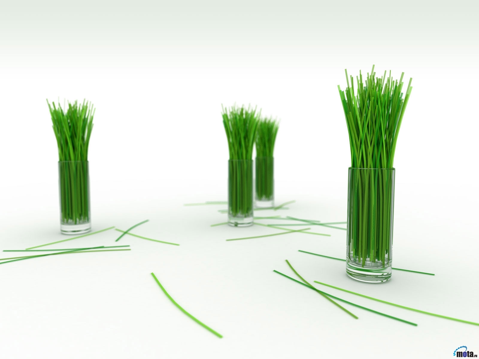 grass, objects, tablewares, white 4K