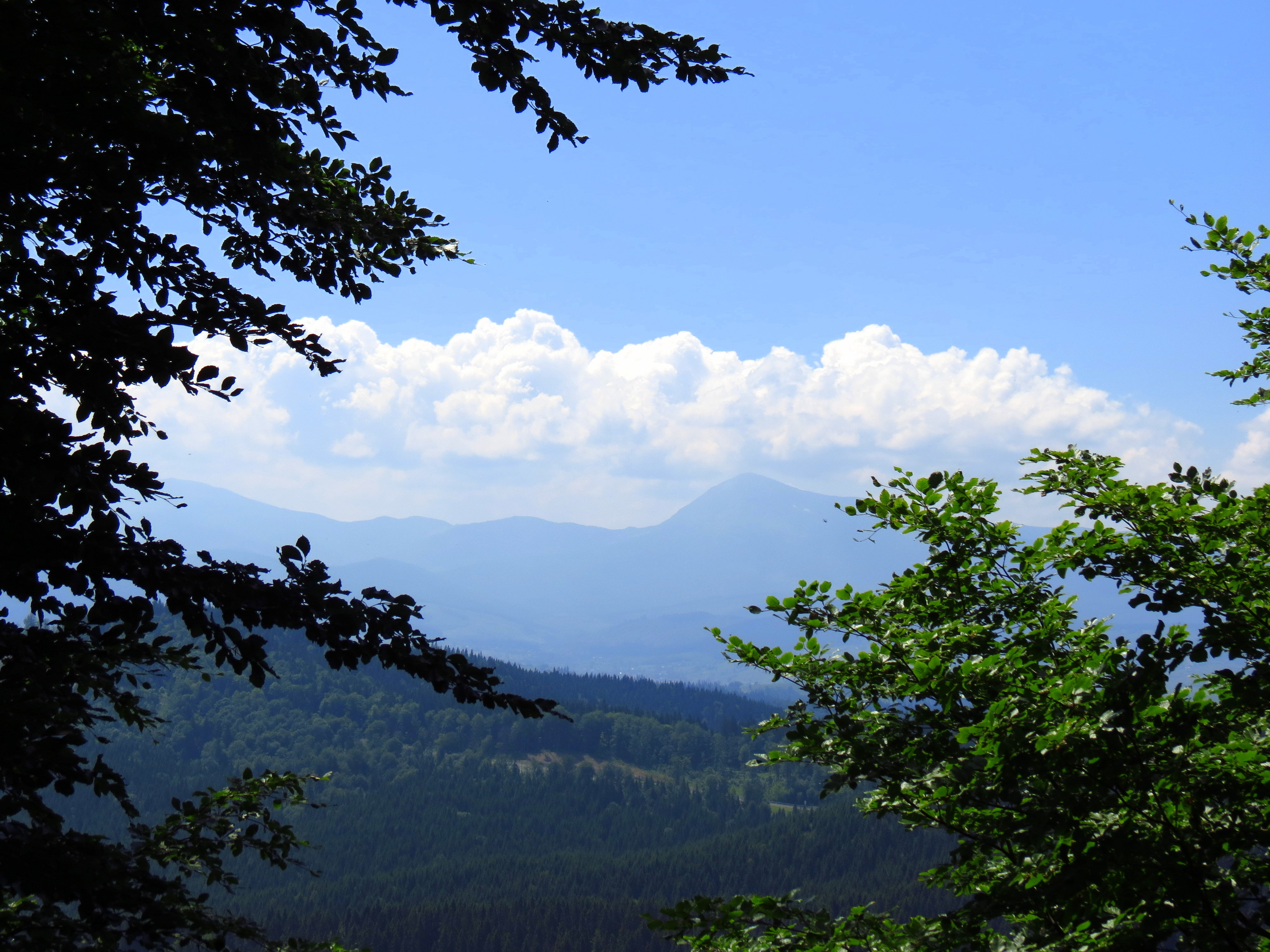 無料モバイル壁紙風景, 木, 山脈, 雲, スカイをダウンロードします。