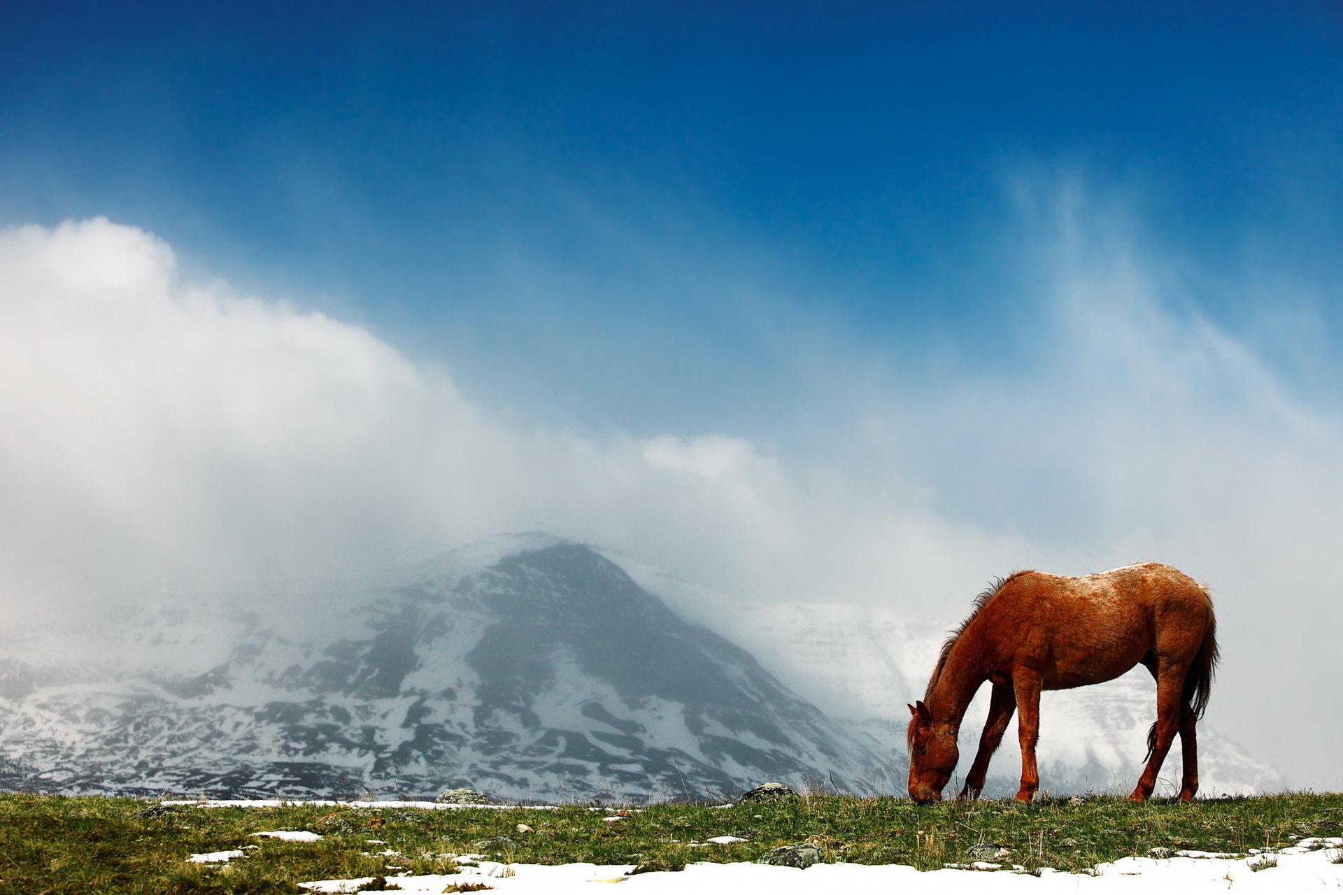 Природа горы лошади