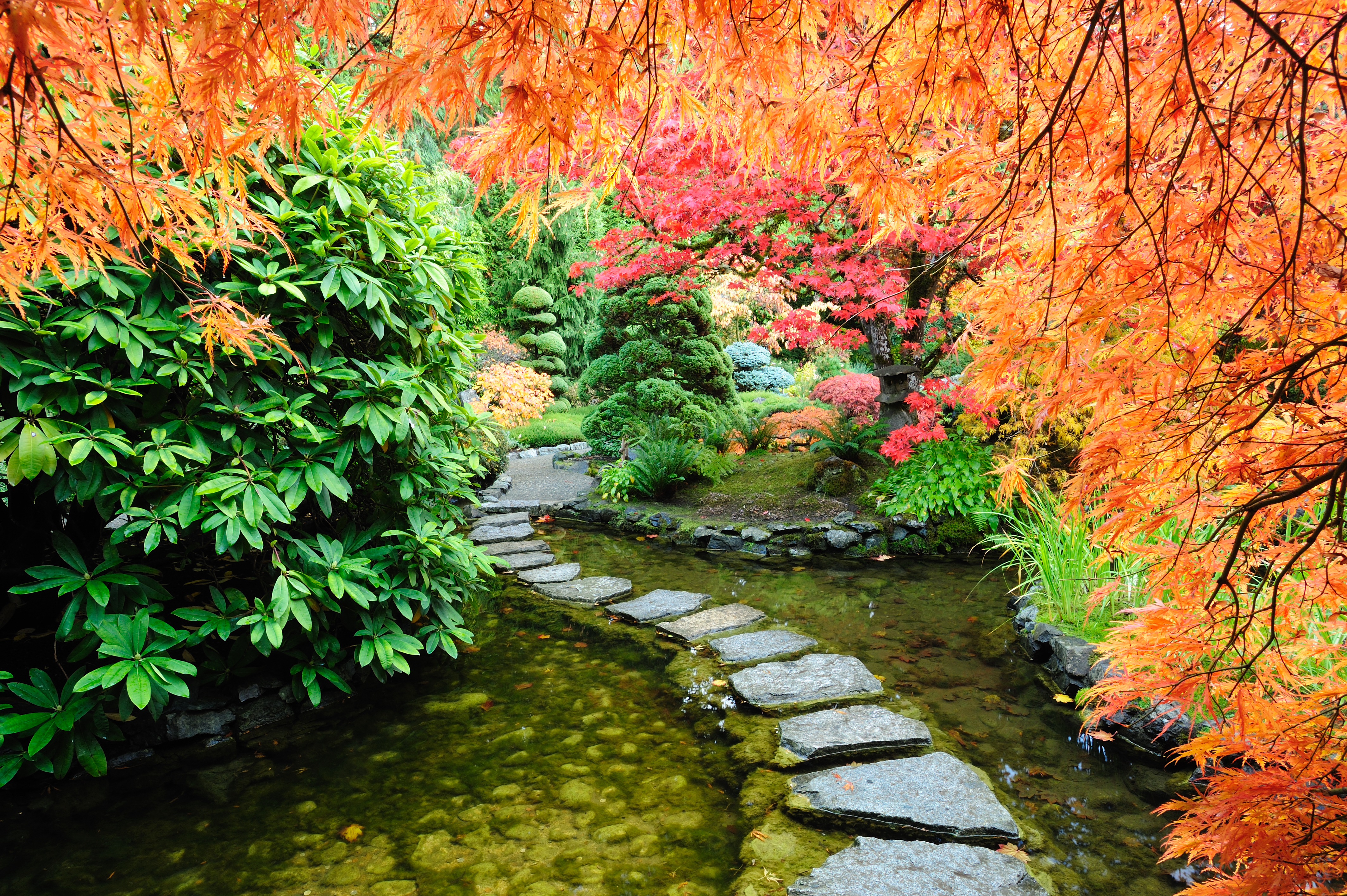 1527951壁紙のダウンロードマンメイド, 日本庭園, 秋, 道, 池-スクリーンセーバーと写真を無料で