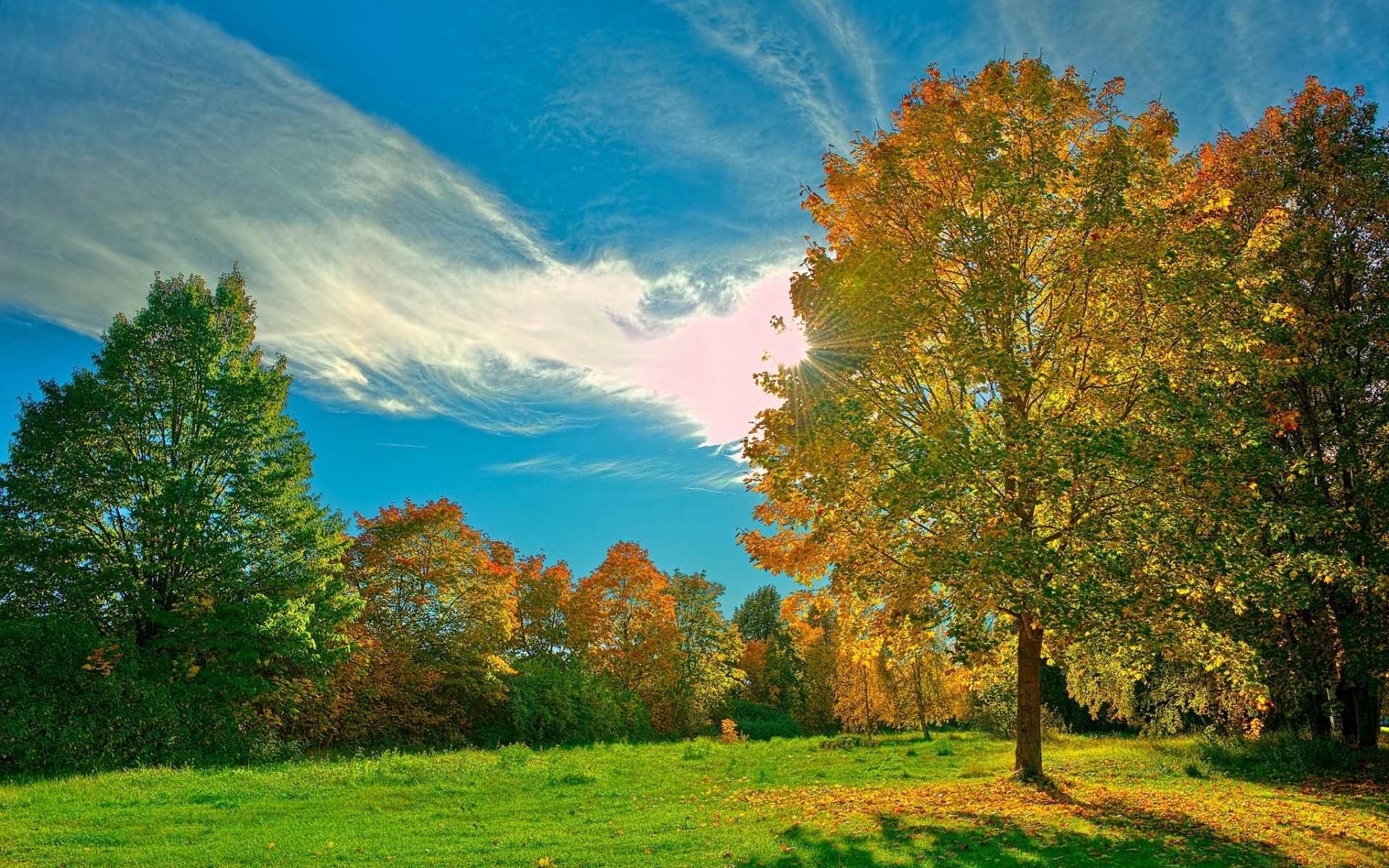 Download mobile wallpaper Clouds, Sun, Trees, Landscape, Autumn for free.