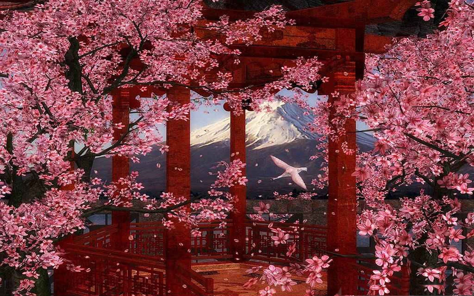 цветущая сакура на фоне гор