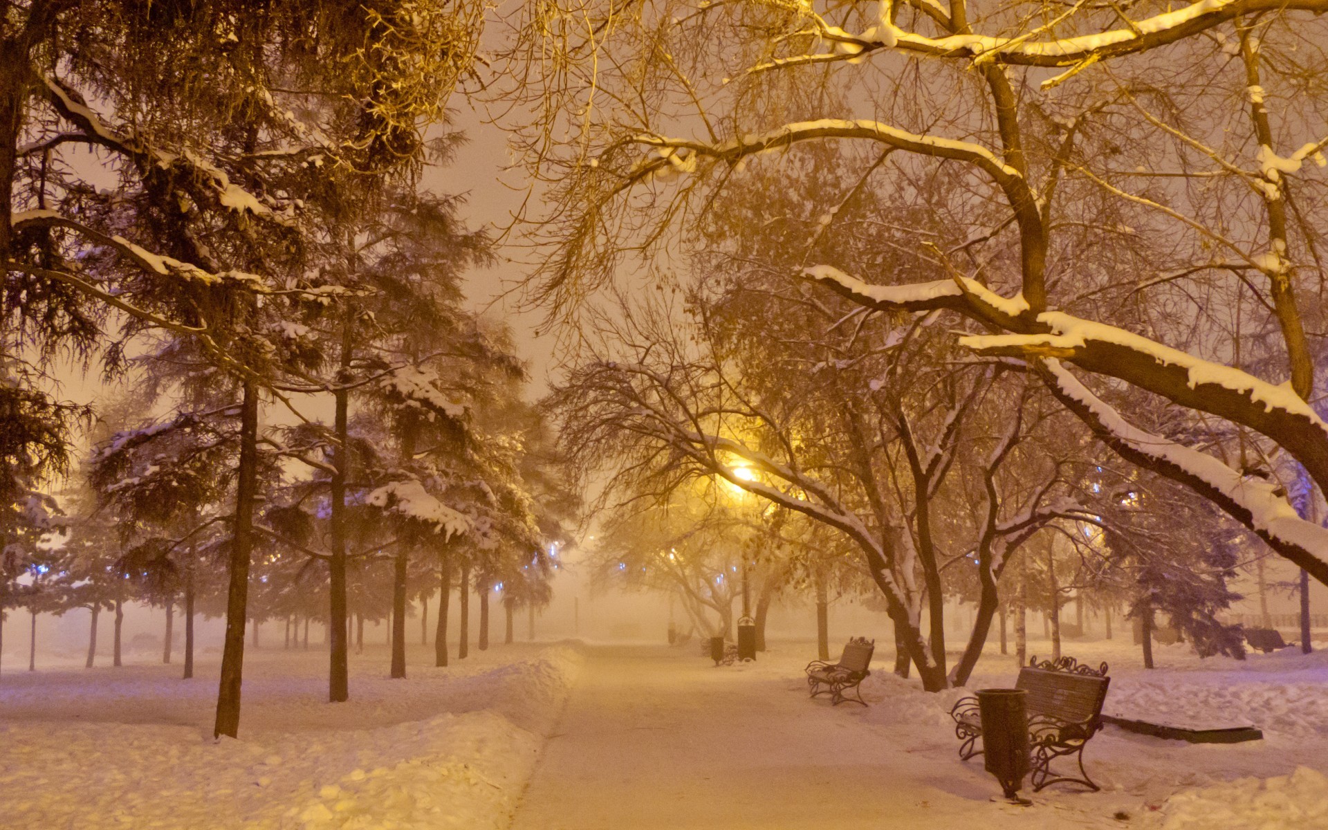 Download mobile wallpaper Winter, Snow, Landscape, Roads, Trees for free.