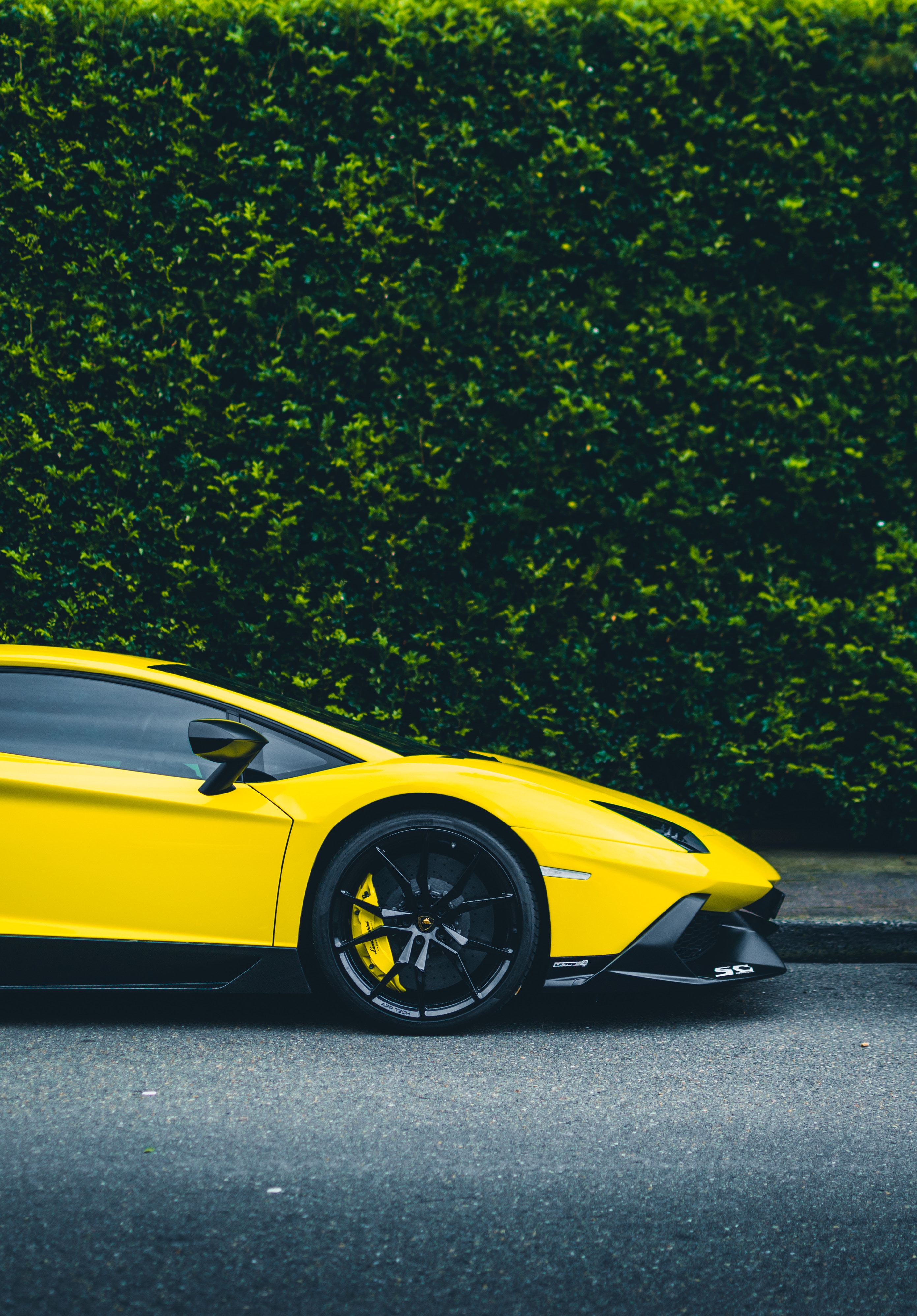 sports car, speed, cars, sports, yellow, side view, wheel, power