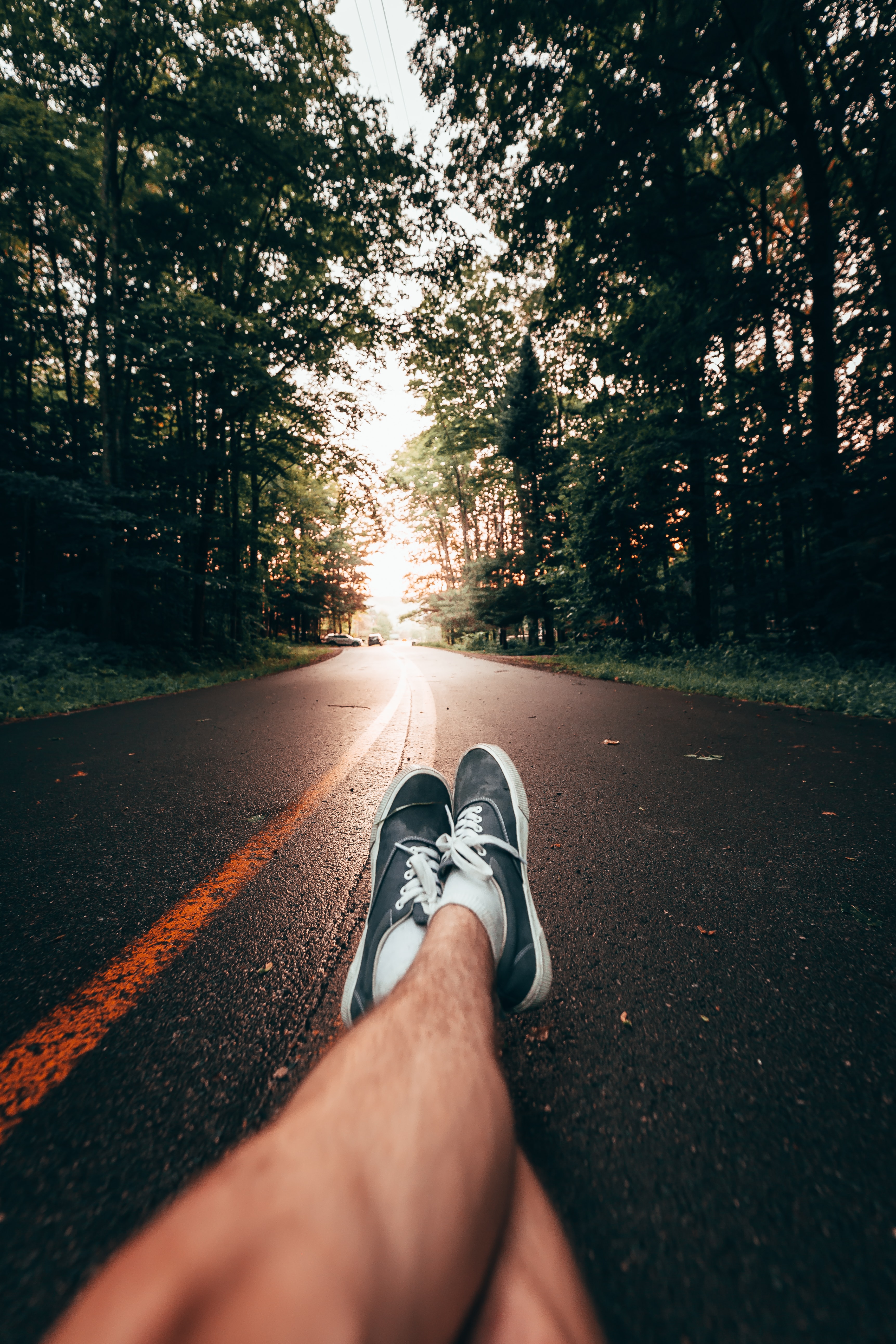 trees, miscellanea, miscellaneous, road, markup, legs, sneakers, shoes