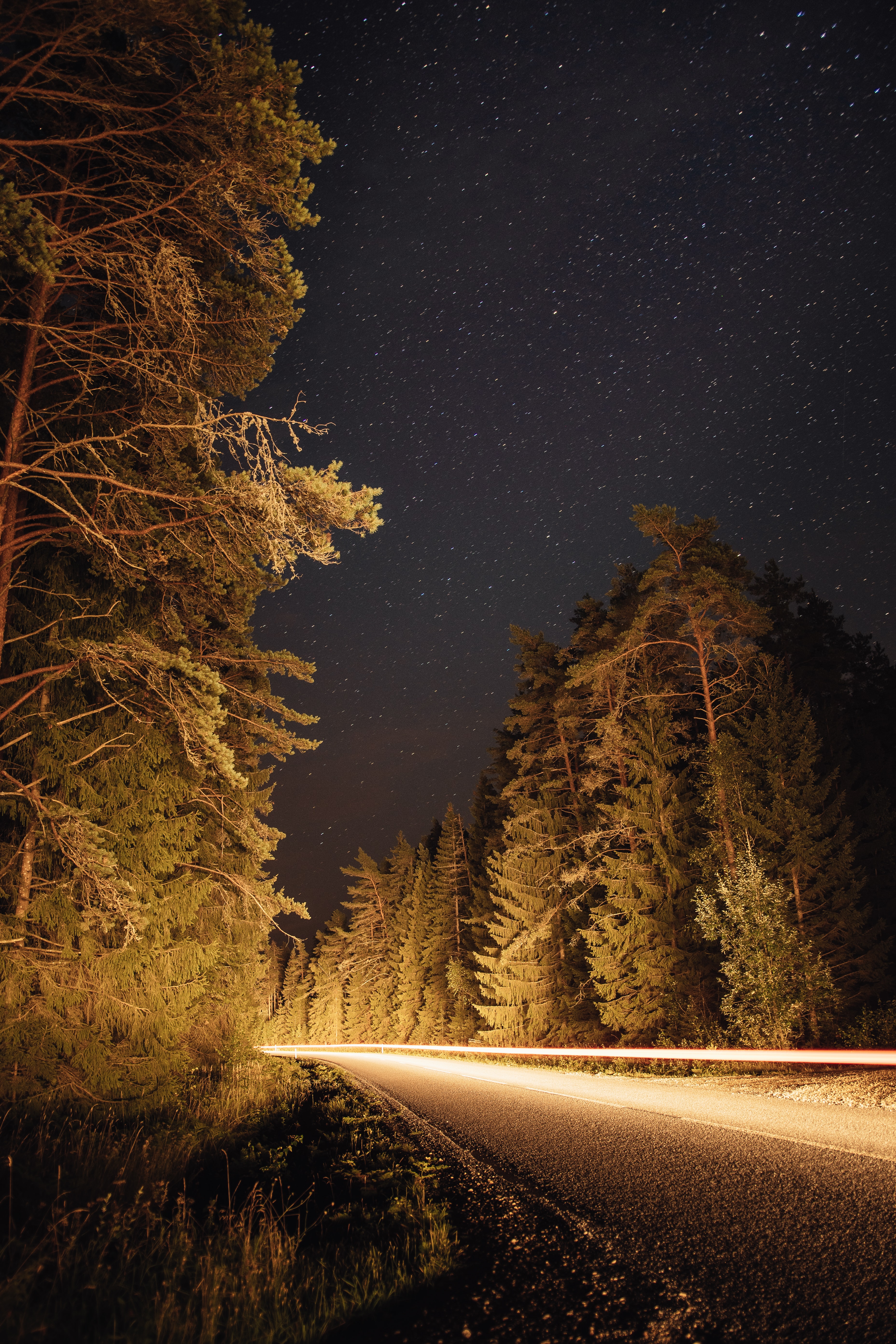 Free download wallpaper Trees, Road, Long Exposure, Spruce, Fir, Nature on your PC desktop