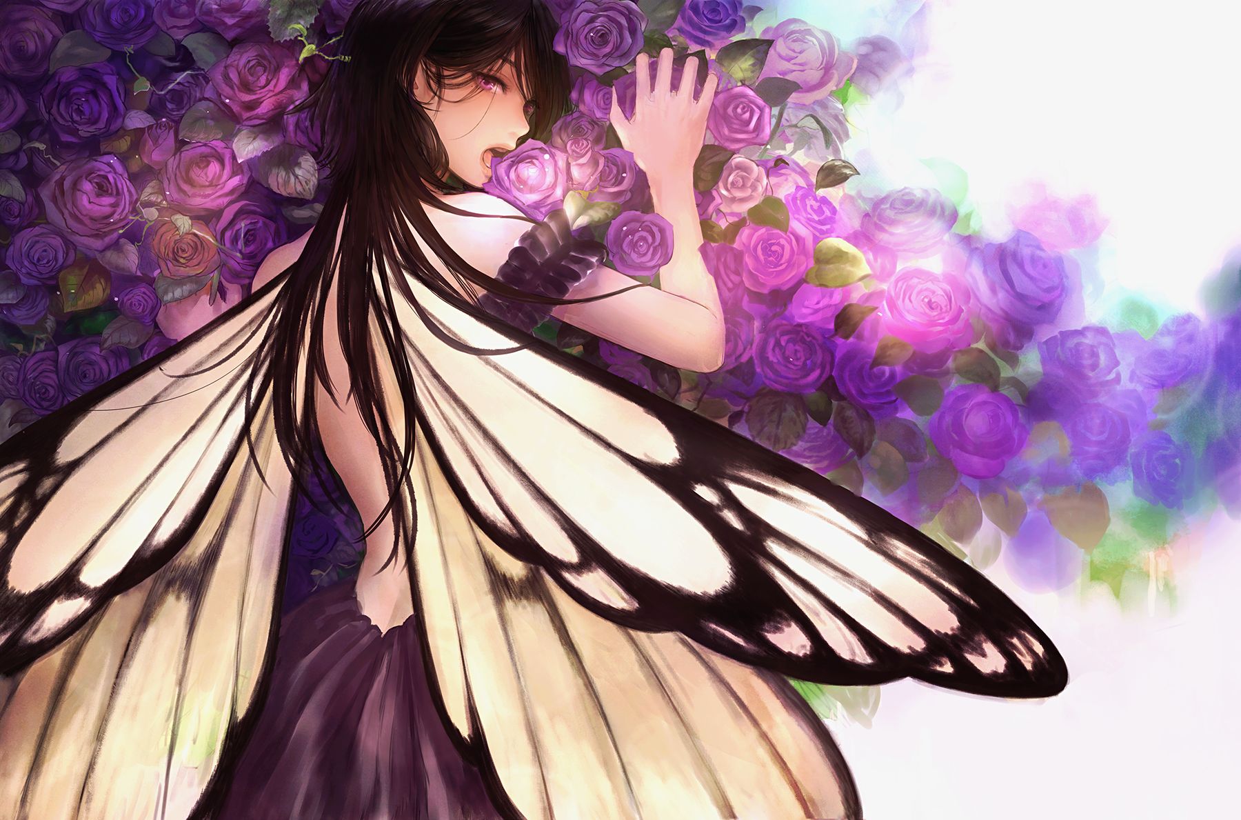 Аниме девушка с крыльями бабочки