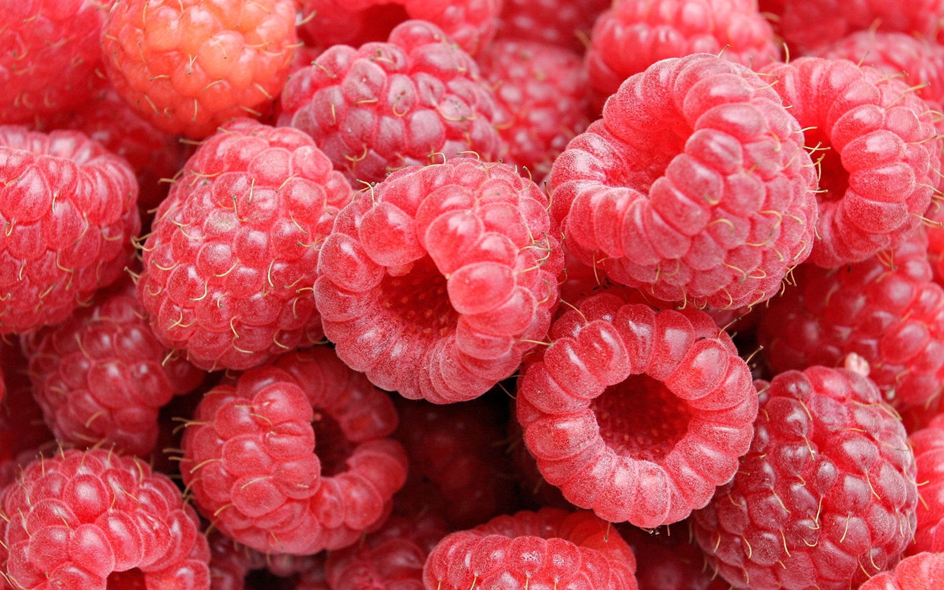 Laden Sie das Obst, Lebensmittel, Himbeere, Berries, Hintergrund-Bild kostenlos auf Ihren PC-Desktop herunter