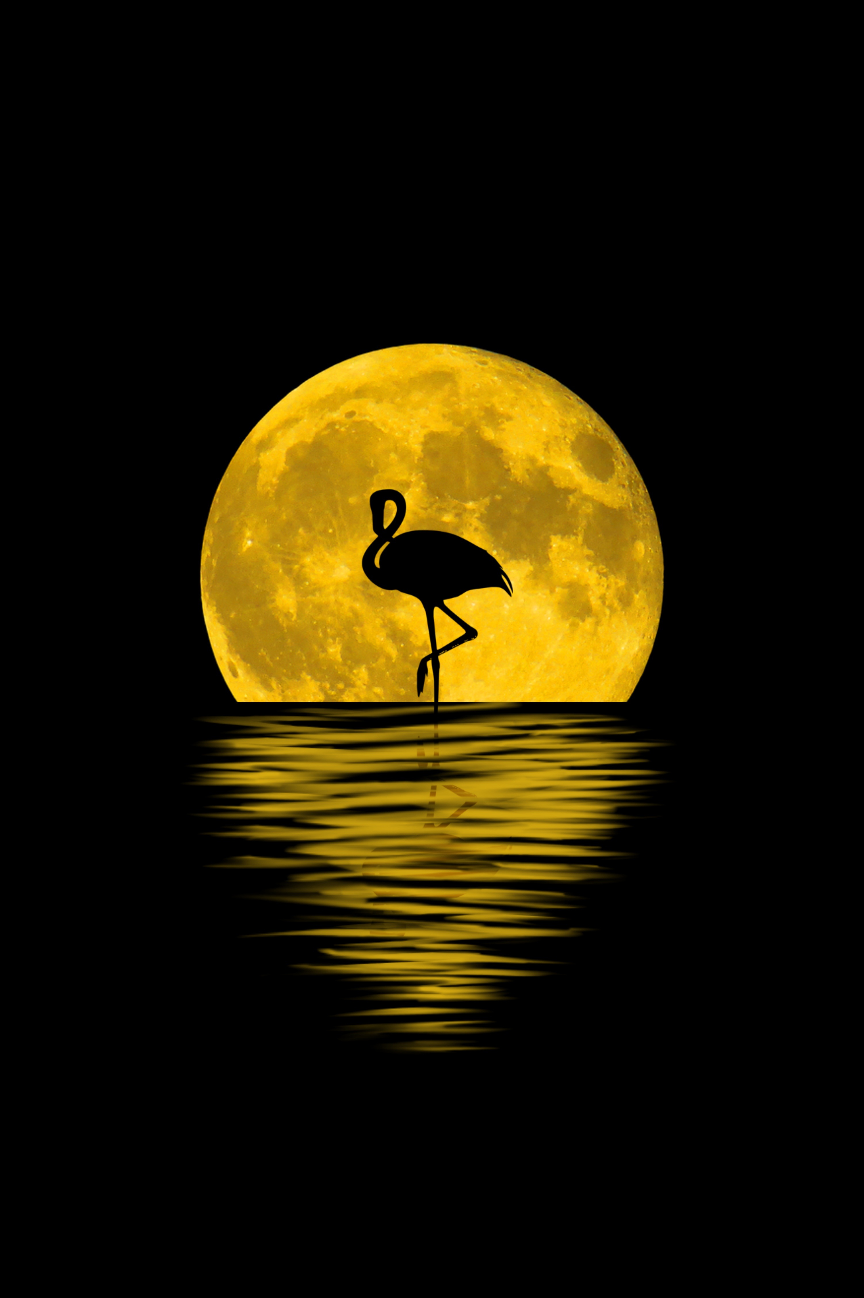 art, flamingo, moon, reflection, dark, silhouette Free Stock Photo