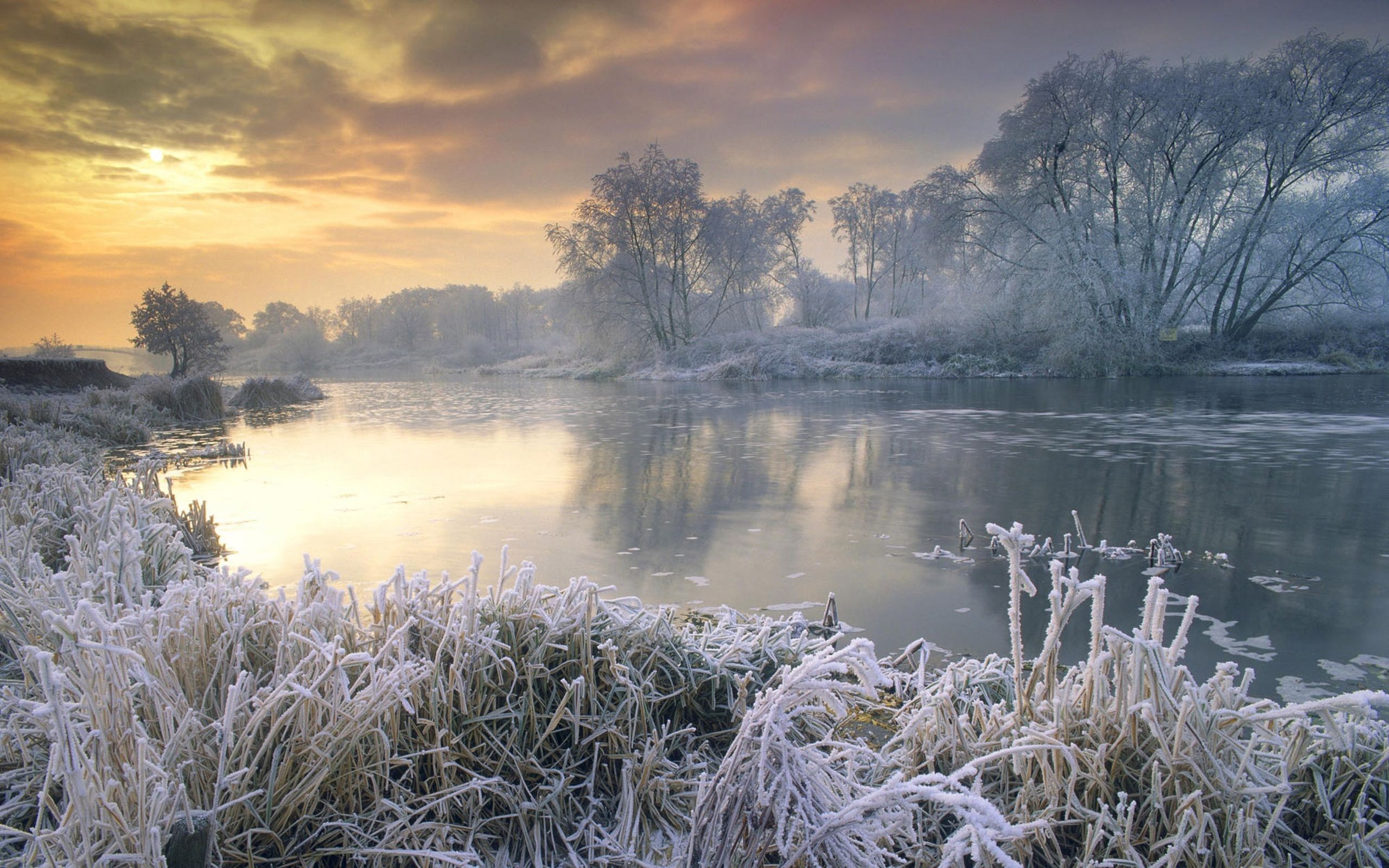nature, sunrise, lake, winter, water, ice, frost, earth, england, tree HD wallpaper