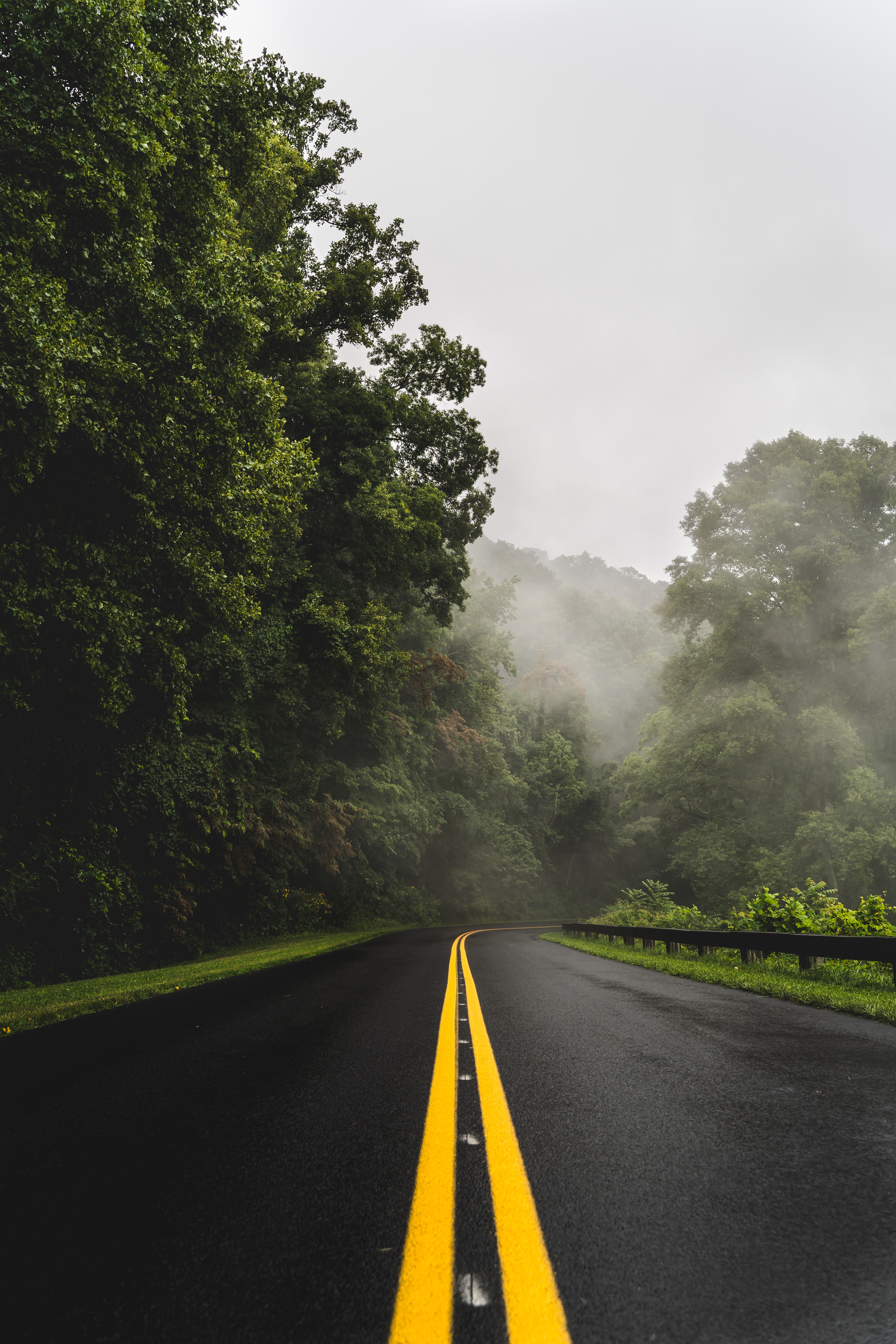 nature, asphalt, fog, road, trees, turn wallpaper for mobile