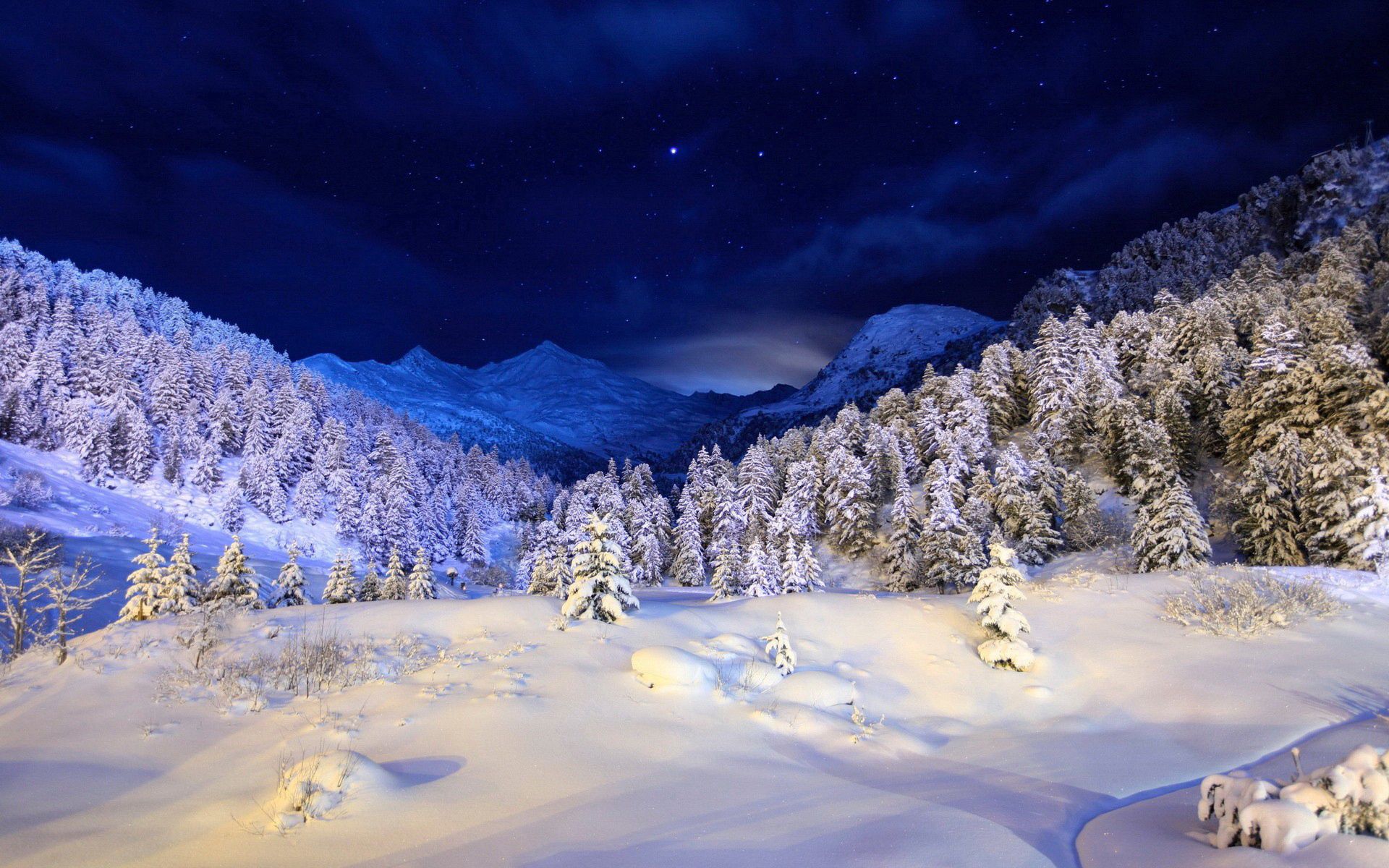 130994 Hintergrundbild herunterladen winter, blau, bäume, schnee, sterne, natur, übernachtung, weiß, nadelbäume, nadel, scheinen, licht, startseite, cover - Bildschirmschoner und Bilder kostenlos