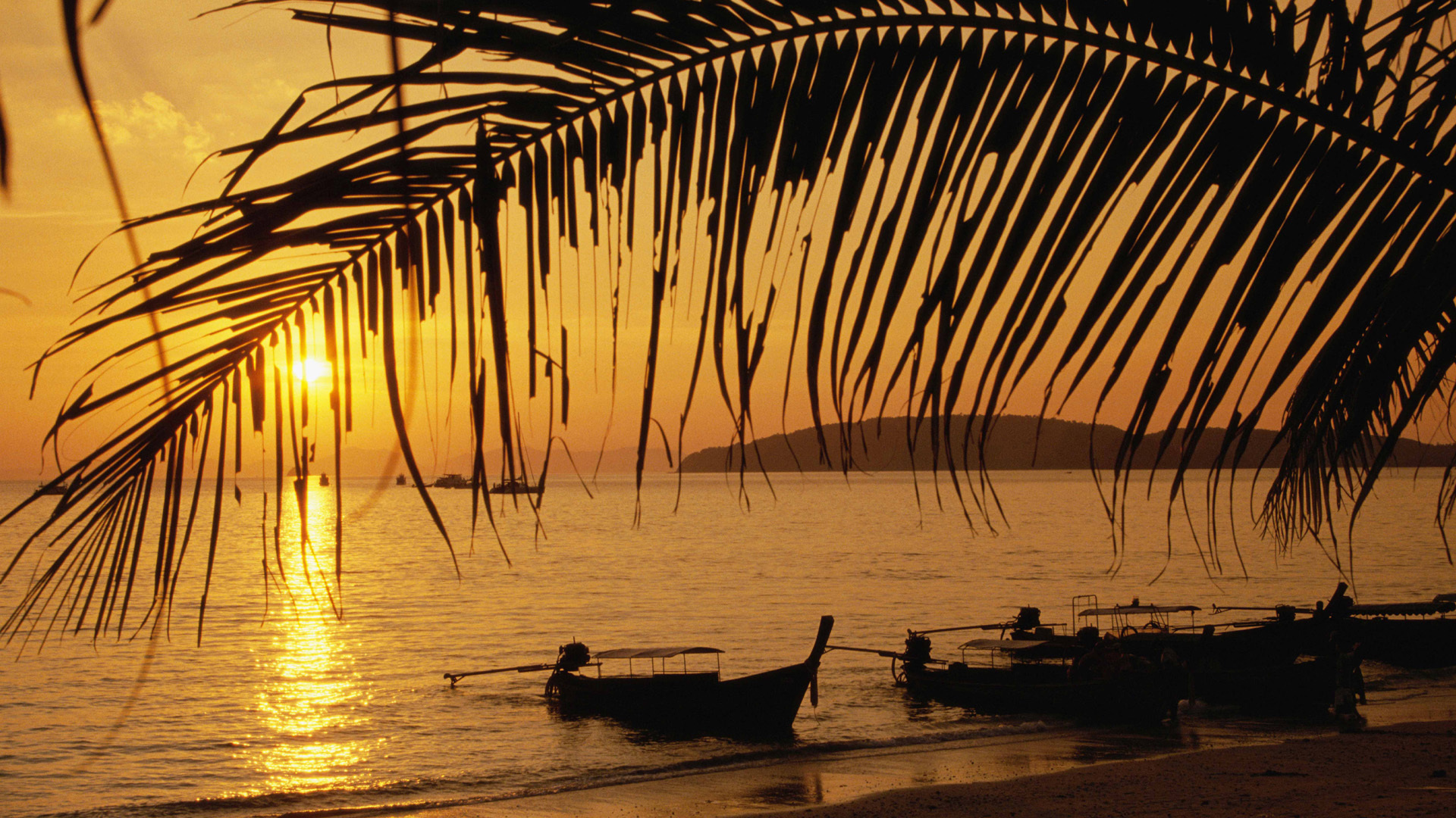 boats, landscape, sunset, sea, palms, orange Full HD
