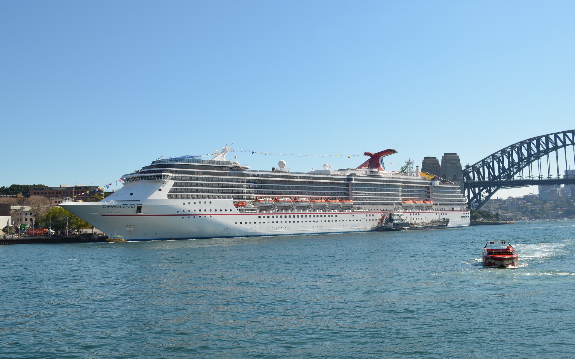 vehicles, carnival spirit, australia, boat, cruise ship, ship, sydney harbour, sydney HD wallpaper