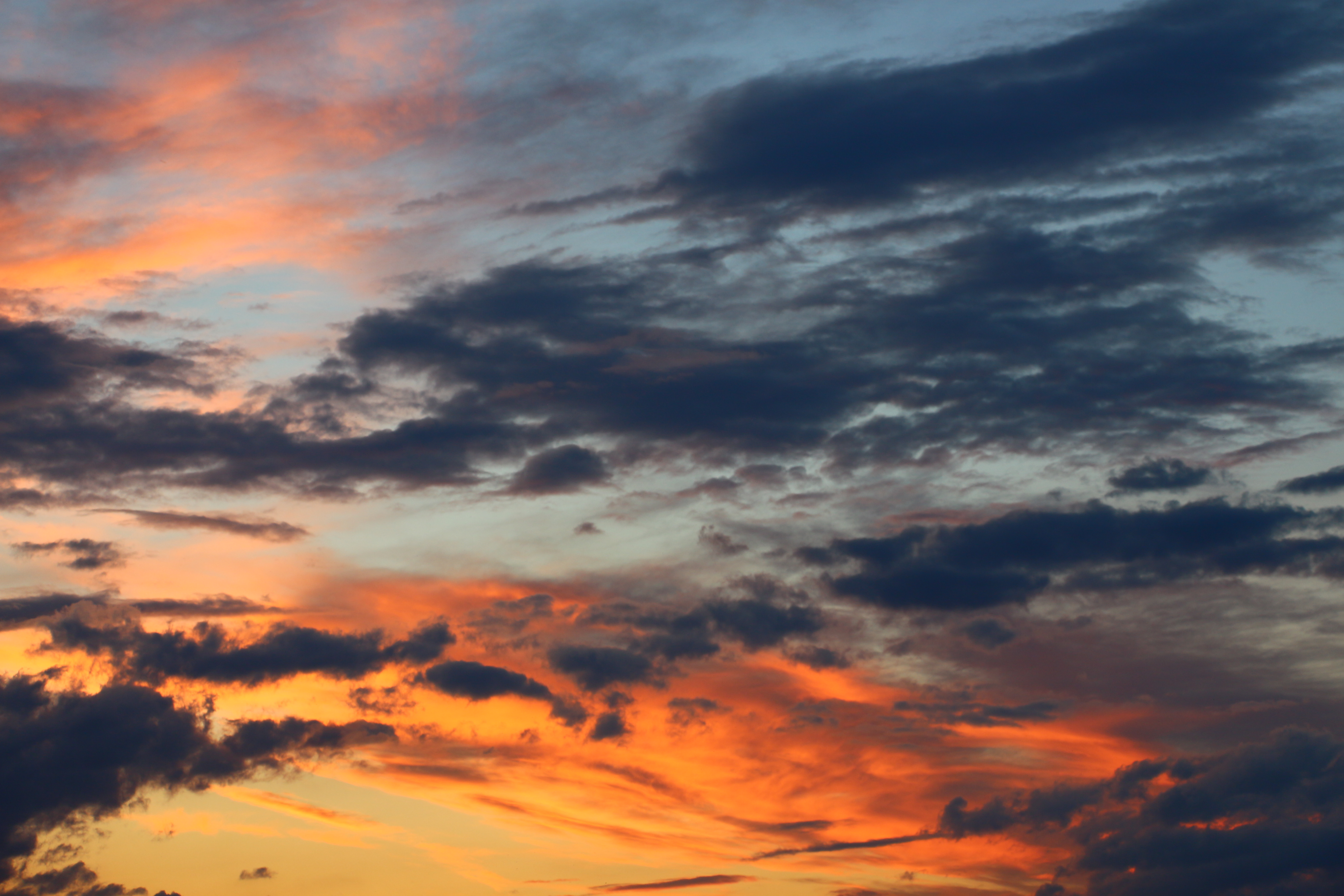 Laden Sie das Sky, Abend, Wolke, Cloud, Natur, Sunset-Bild kostenlos auf Ihren PC-Desktop herunter