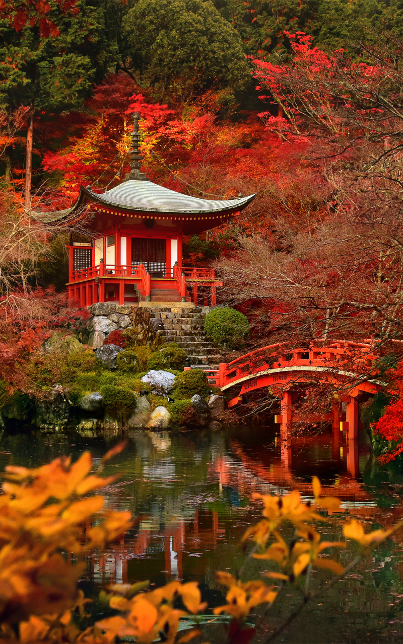 kyoto, religious, daigo ji, bridge, nature, pagoda, fall, japan, temples