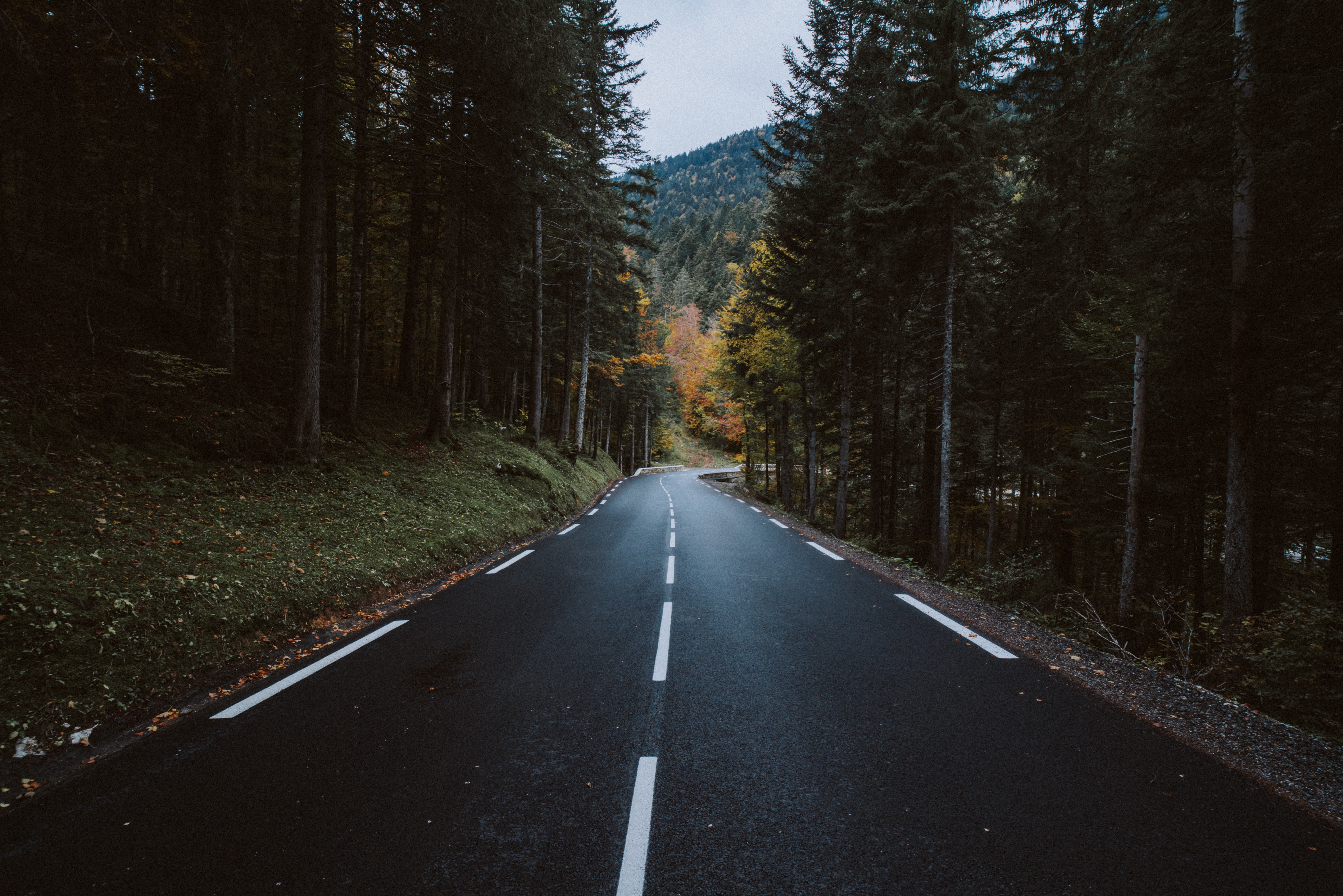 road, nature, mountain, turn, forest mobile wallpaper