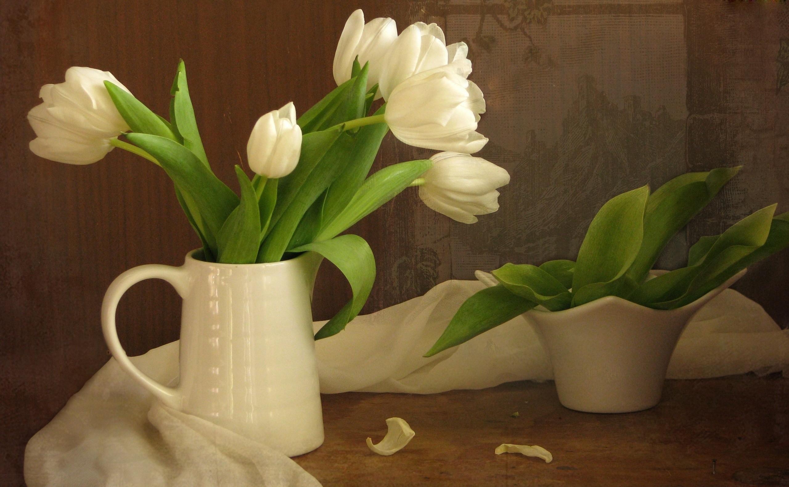 tulips, flowers, white, greens, bouquet, jug, snow white, scarf HD wallpaper