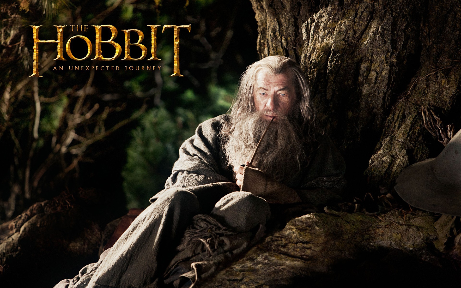 Ian MCKELLEN Hobbit