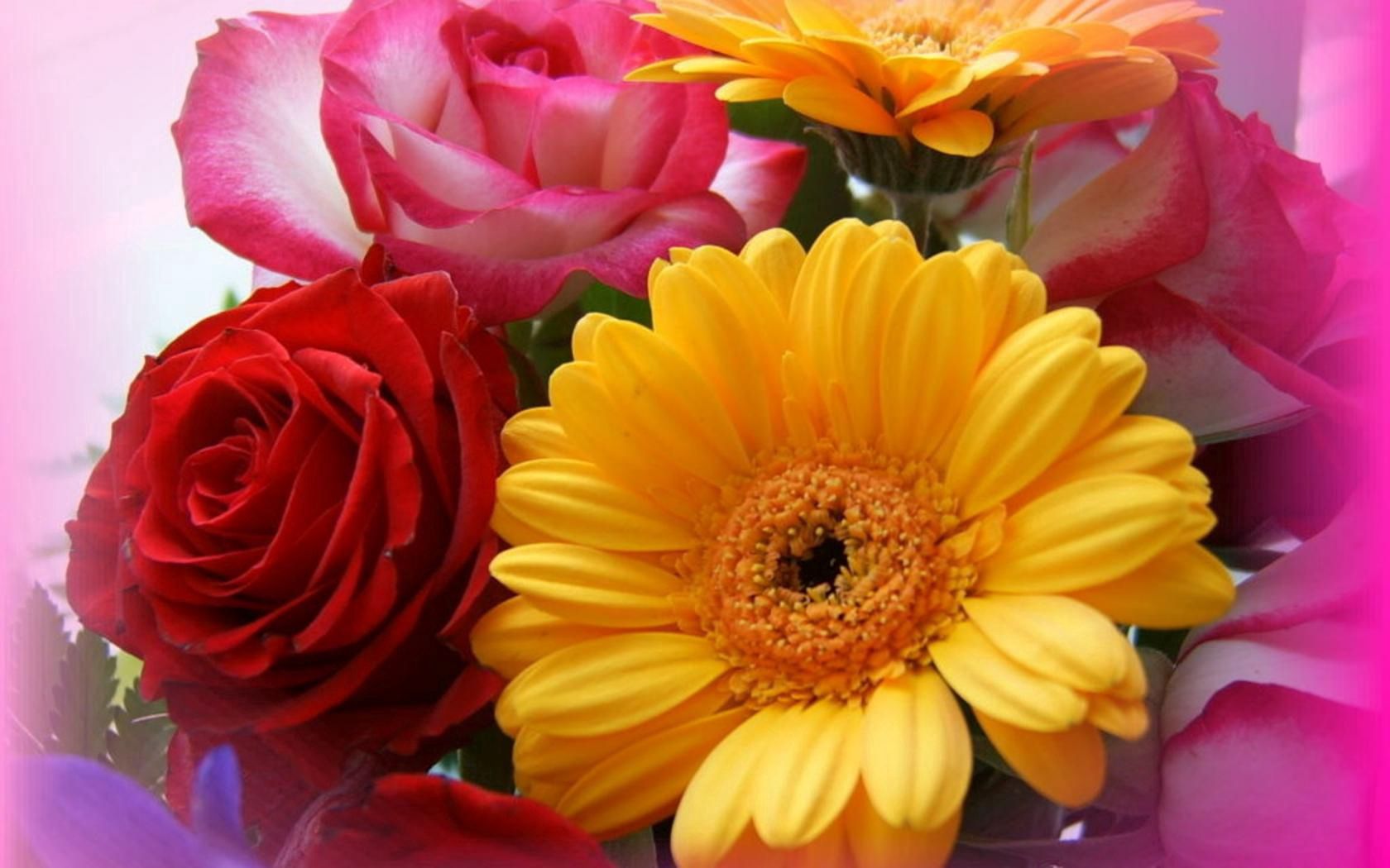 Laden Sie das Gerbera, Strauß, Bouquet, Blumen, Roses, Nahaufnahme, Nahansicht-Bild kostenlos auf Ihren PC-Desktop herunter