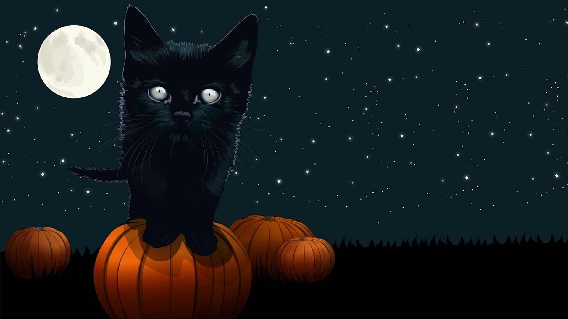 full moon, halloween, holiday, cat, pumpkin