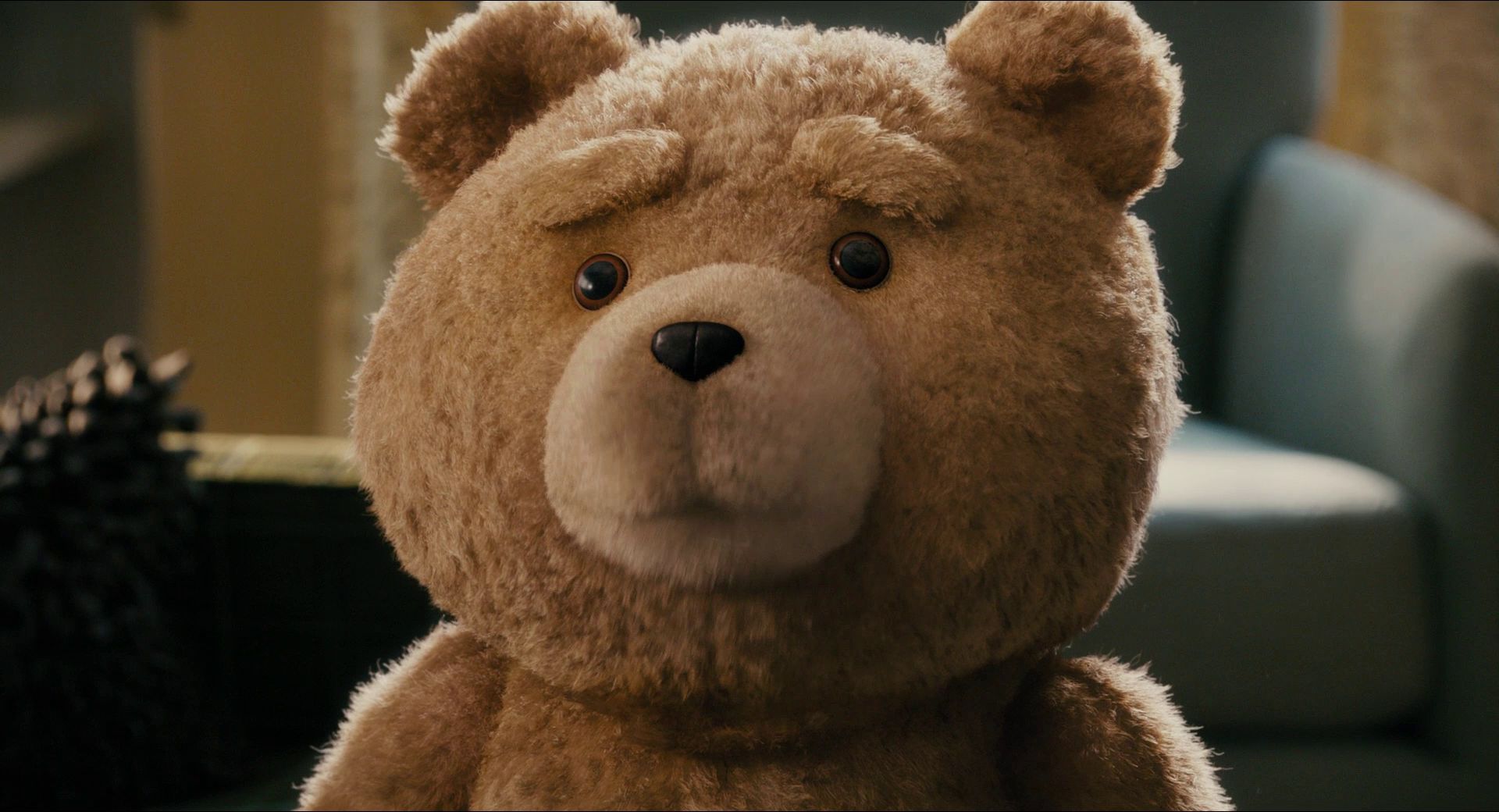 Full HD Wallpaper movie, ted, ted (movie character)