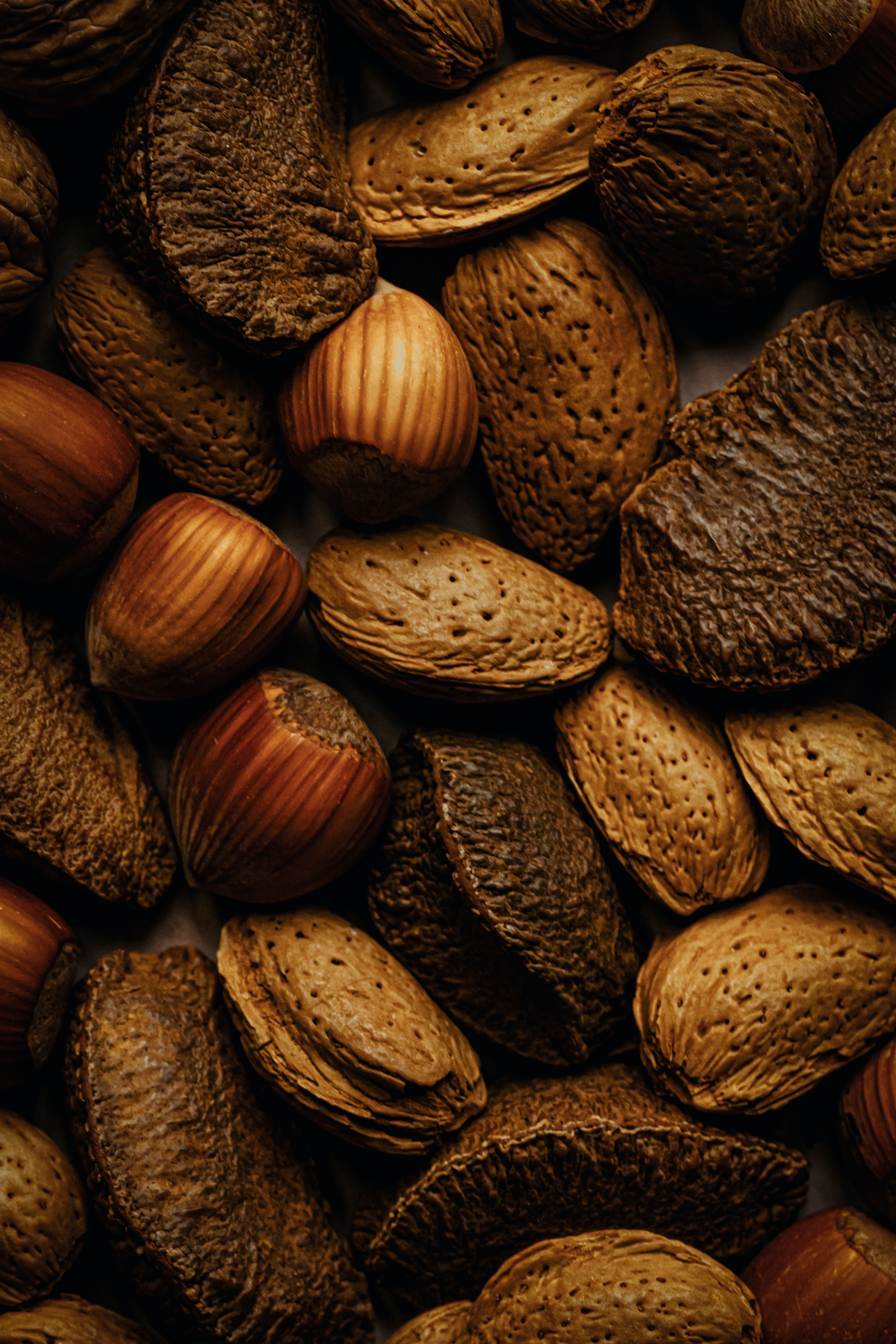 brown, food, nuts, fruit, almond, hazelnut 4K