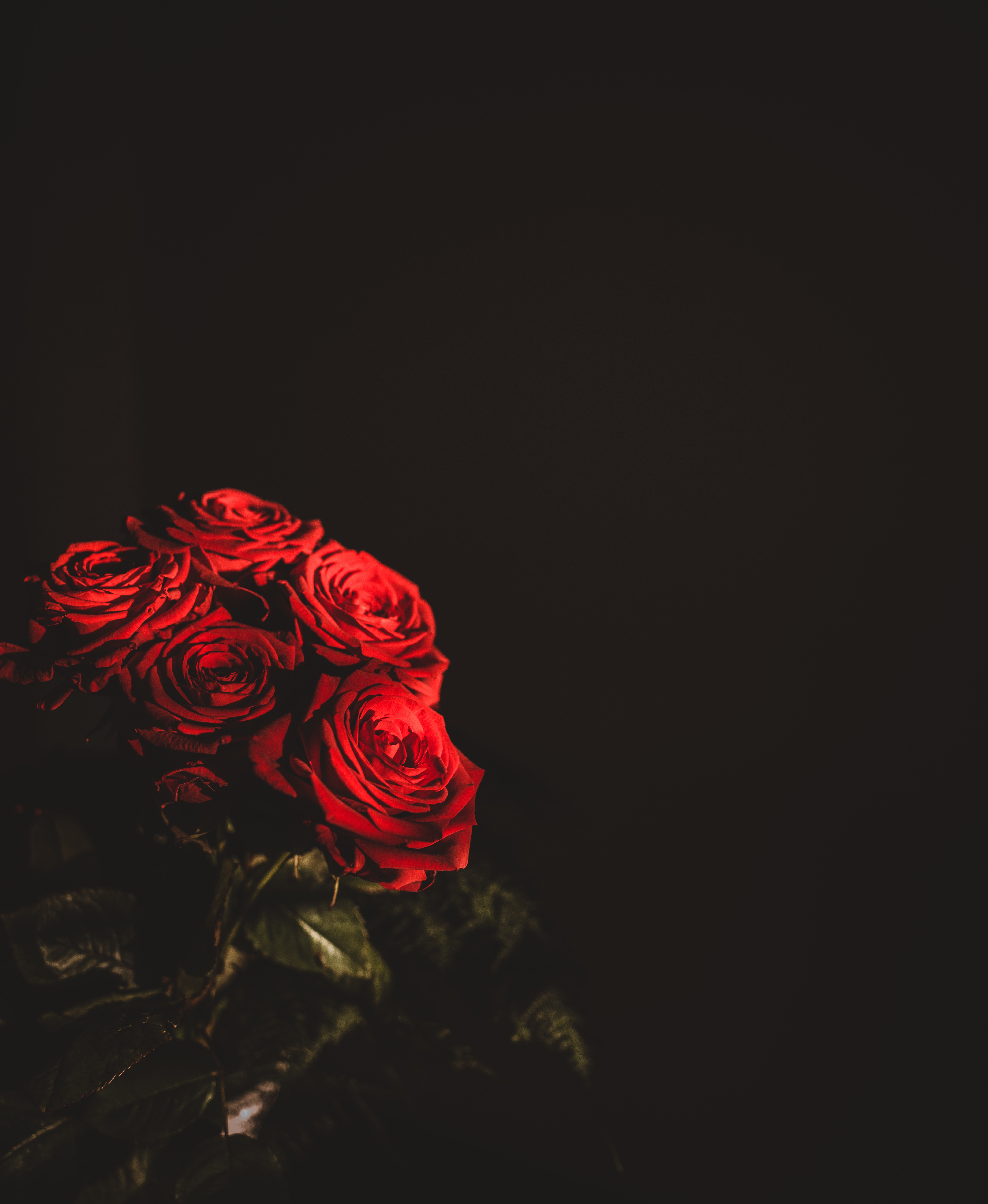 Descarga gratuita de fondo de pantalla para móvil de Flores, Oscuro, Ramo, Roses.