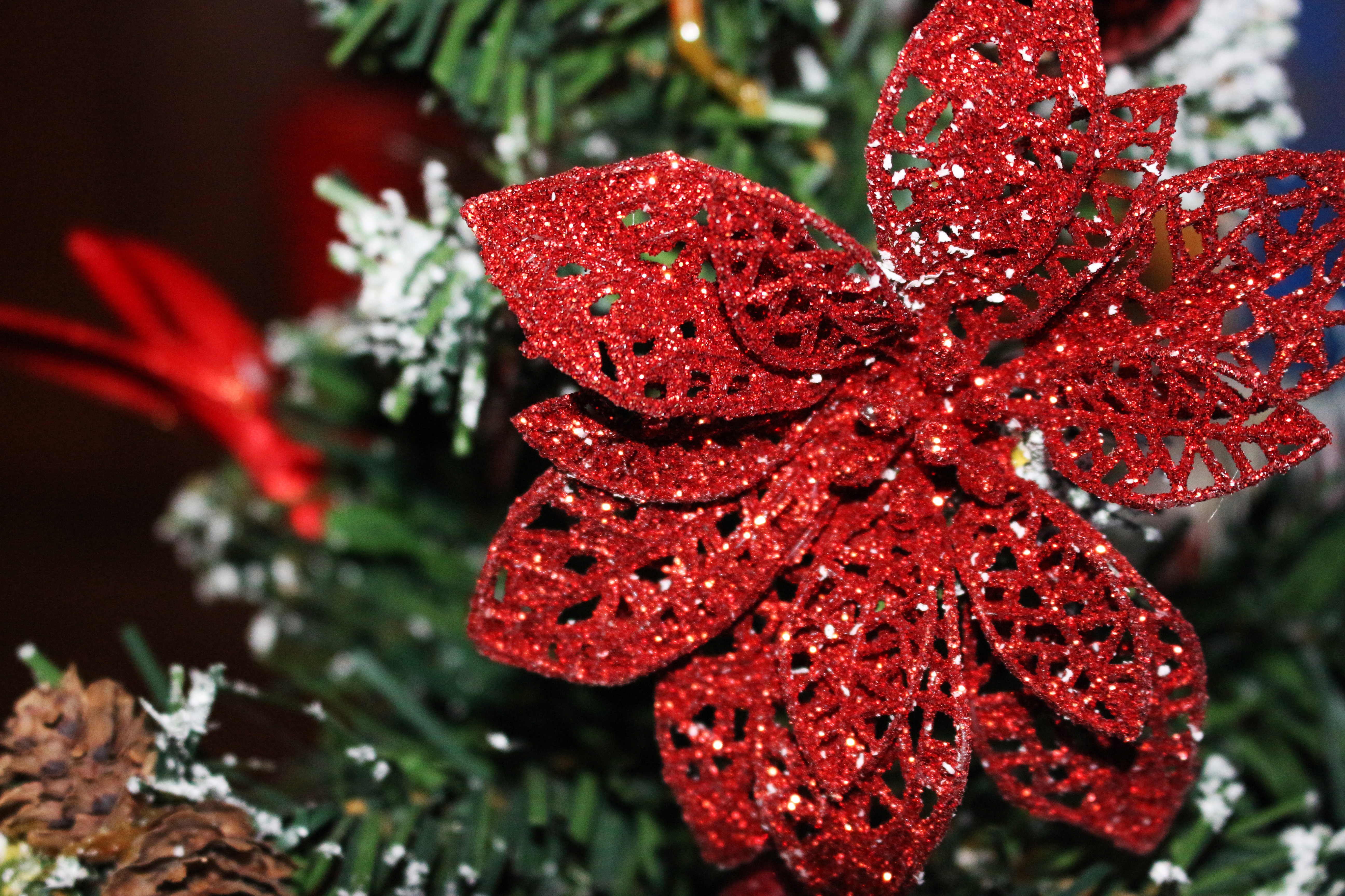 holidays, christmas decorations, decoration, poinsettia, ornament