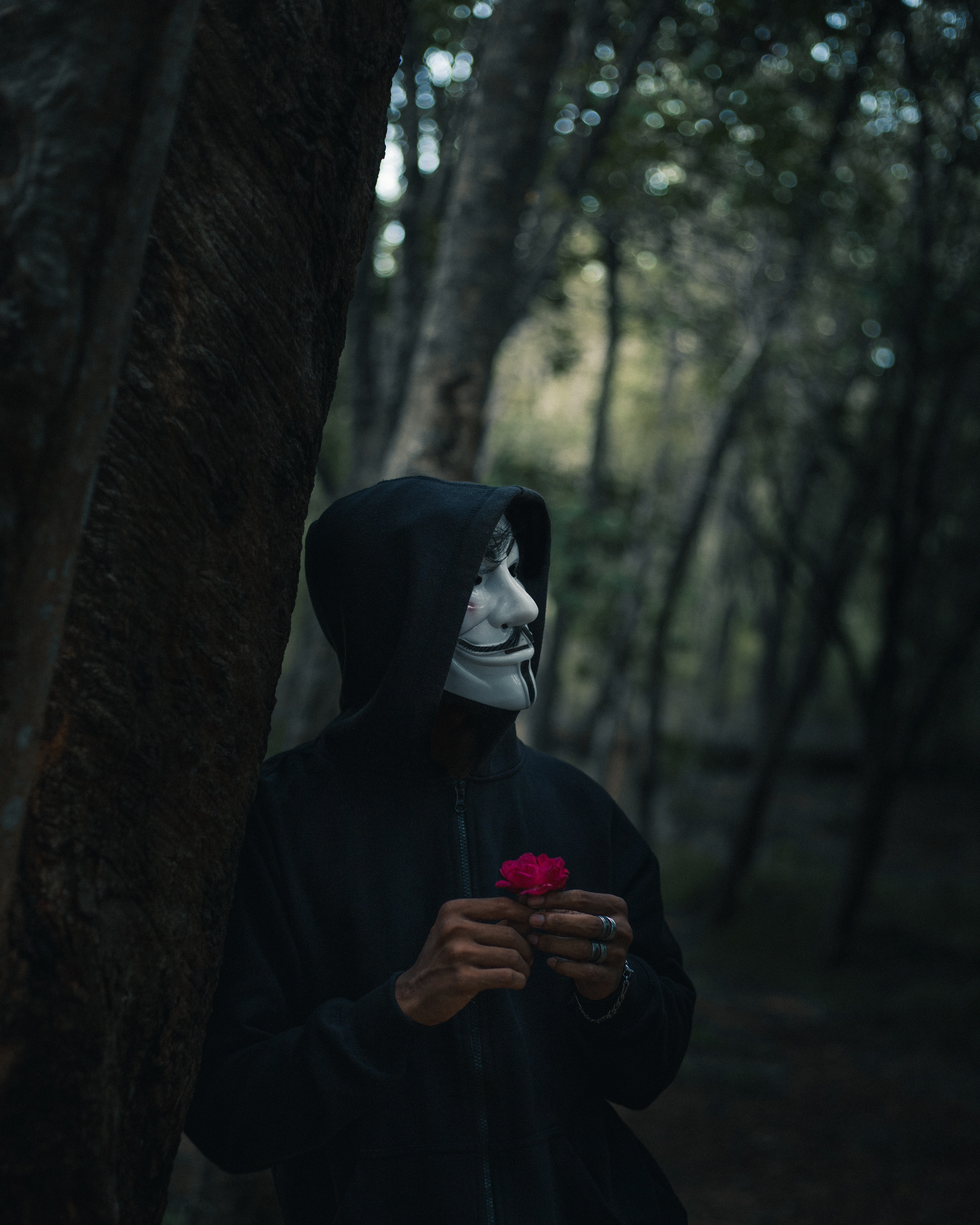 Download mobile wallpaper Miscellaneous, Forest, Person, Miscellanea, Human, Hood, Mask, Anonymous for free.