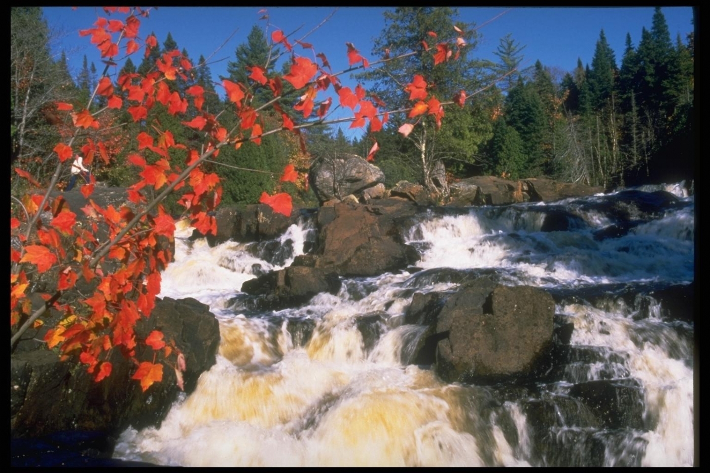 免费下载植物, 景观, 性质, 水, 石, 瀑布手机壁纸。