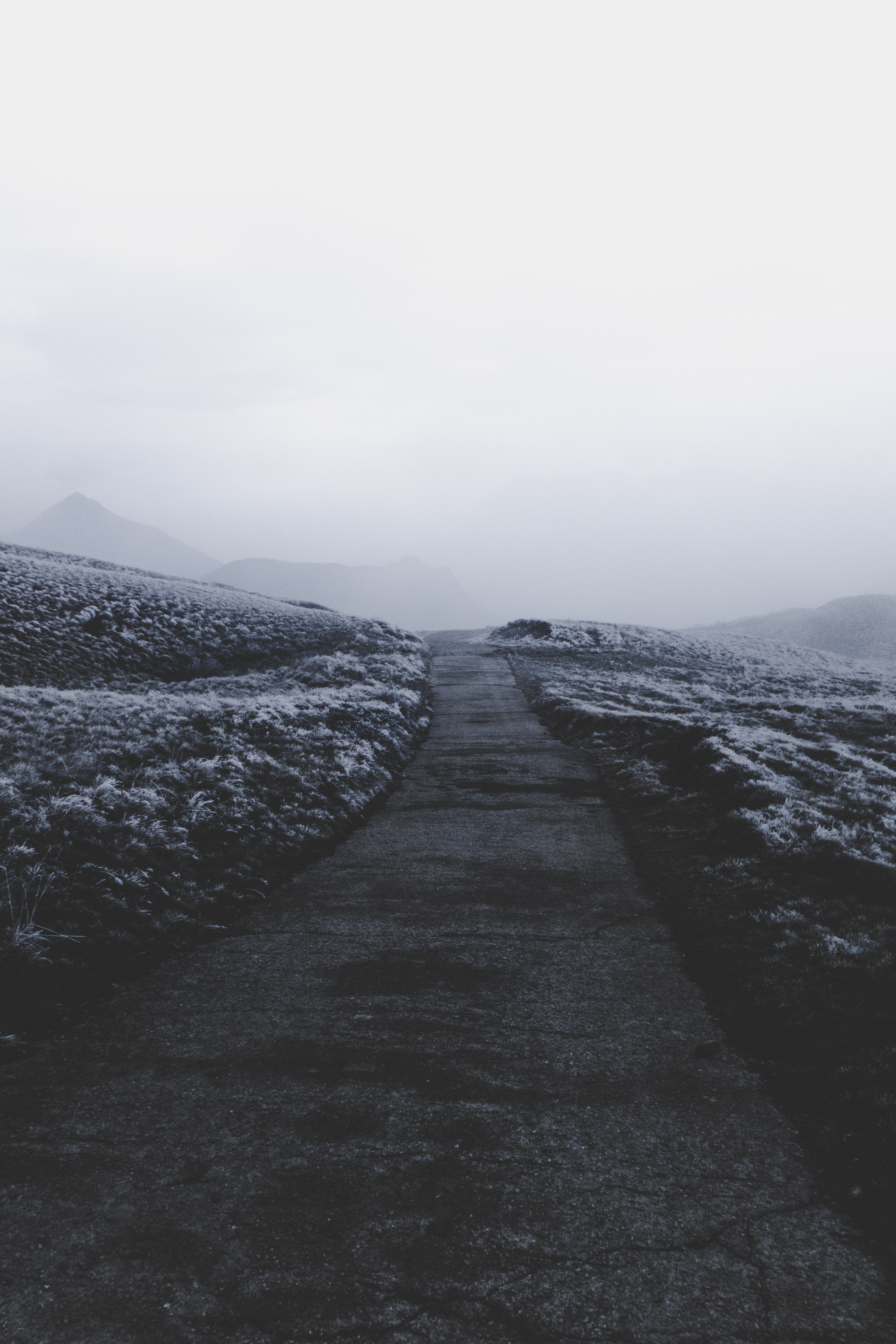 Horizontal Wallpaper nature, snow, fog, path, frost, hoarfrost